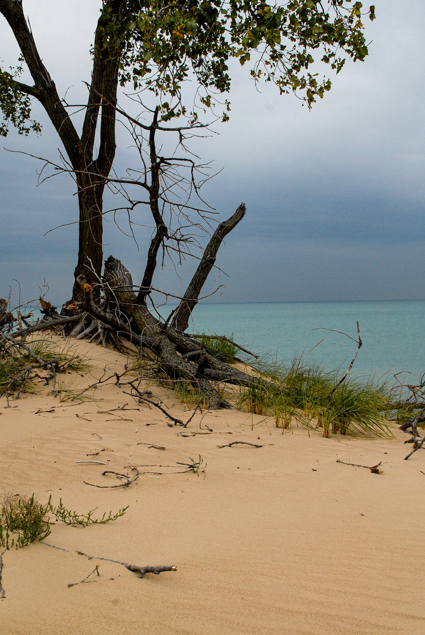 The Lake from Mt Baldy - Indiana Nat's Lakeshore - Michigan City IN