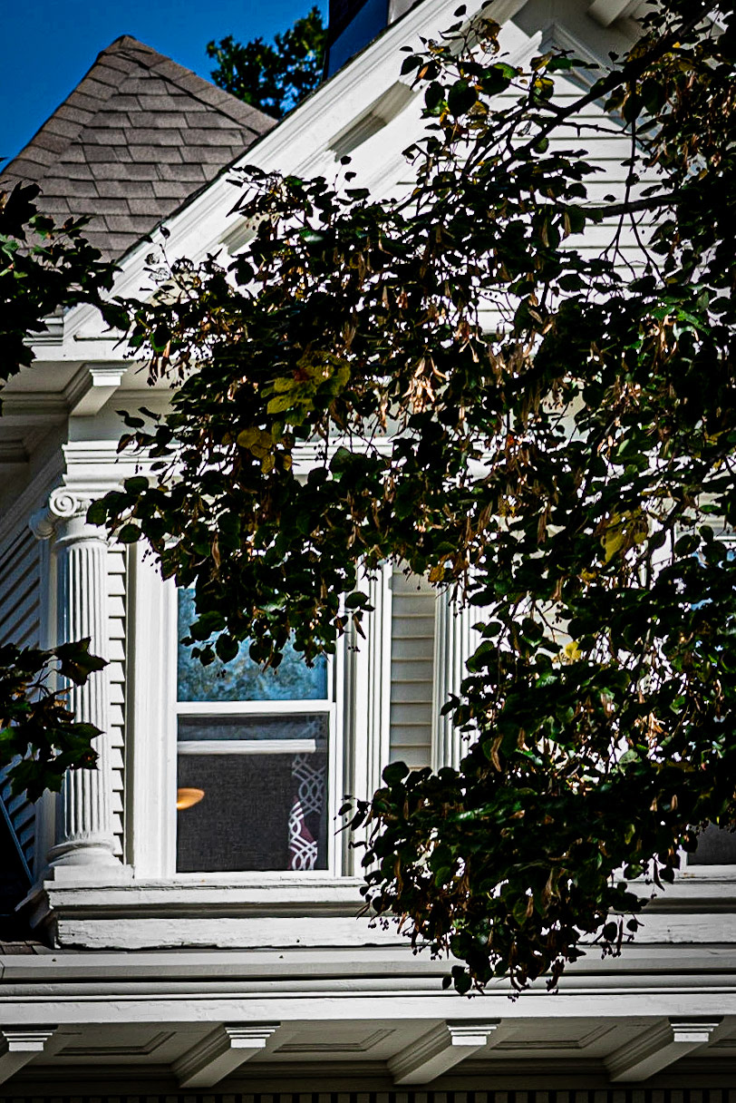 Windows - Wauwatosa, WI 2020