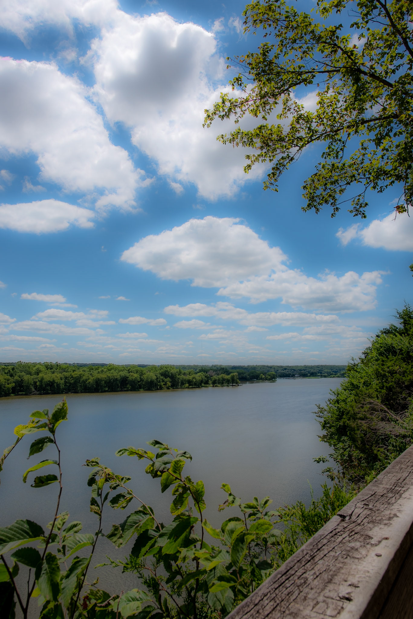 Illinois River off Buffalo Rock SP, Utica IL July 2019