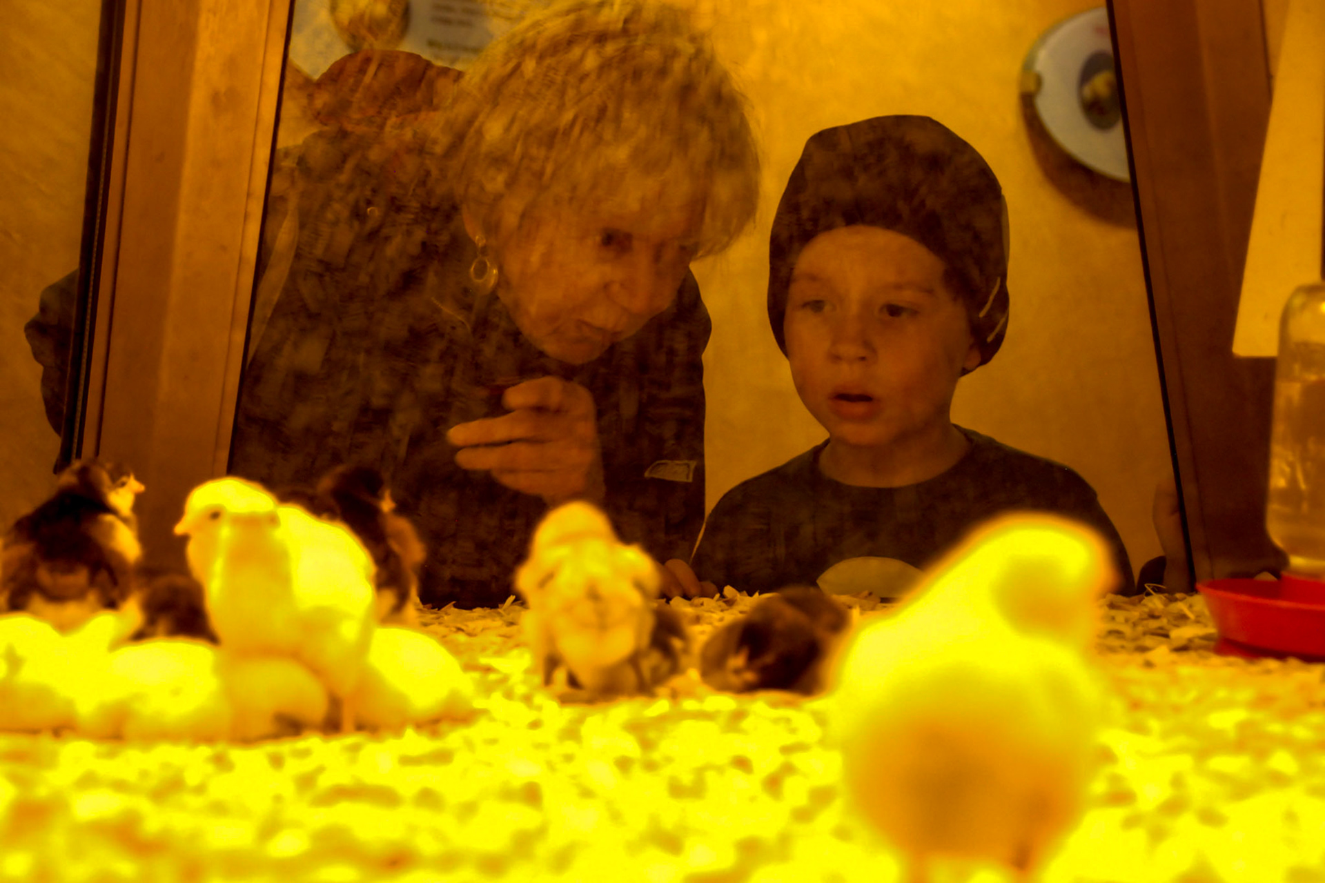 Chicks at Museum of Science and Industry - Chicago November 2012
