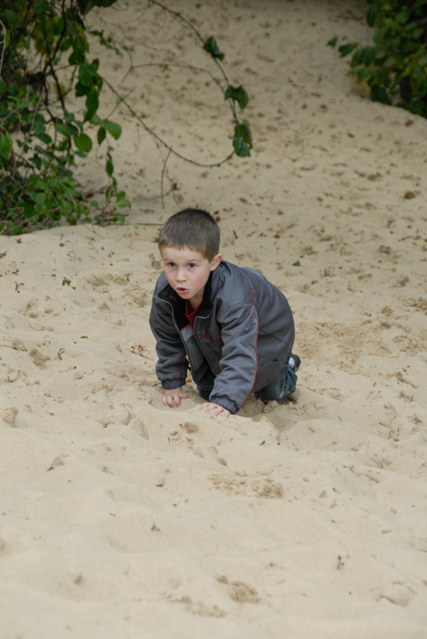 Mt Baldy - Indiana Nat'l Lake Shore,  November 2011