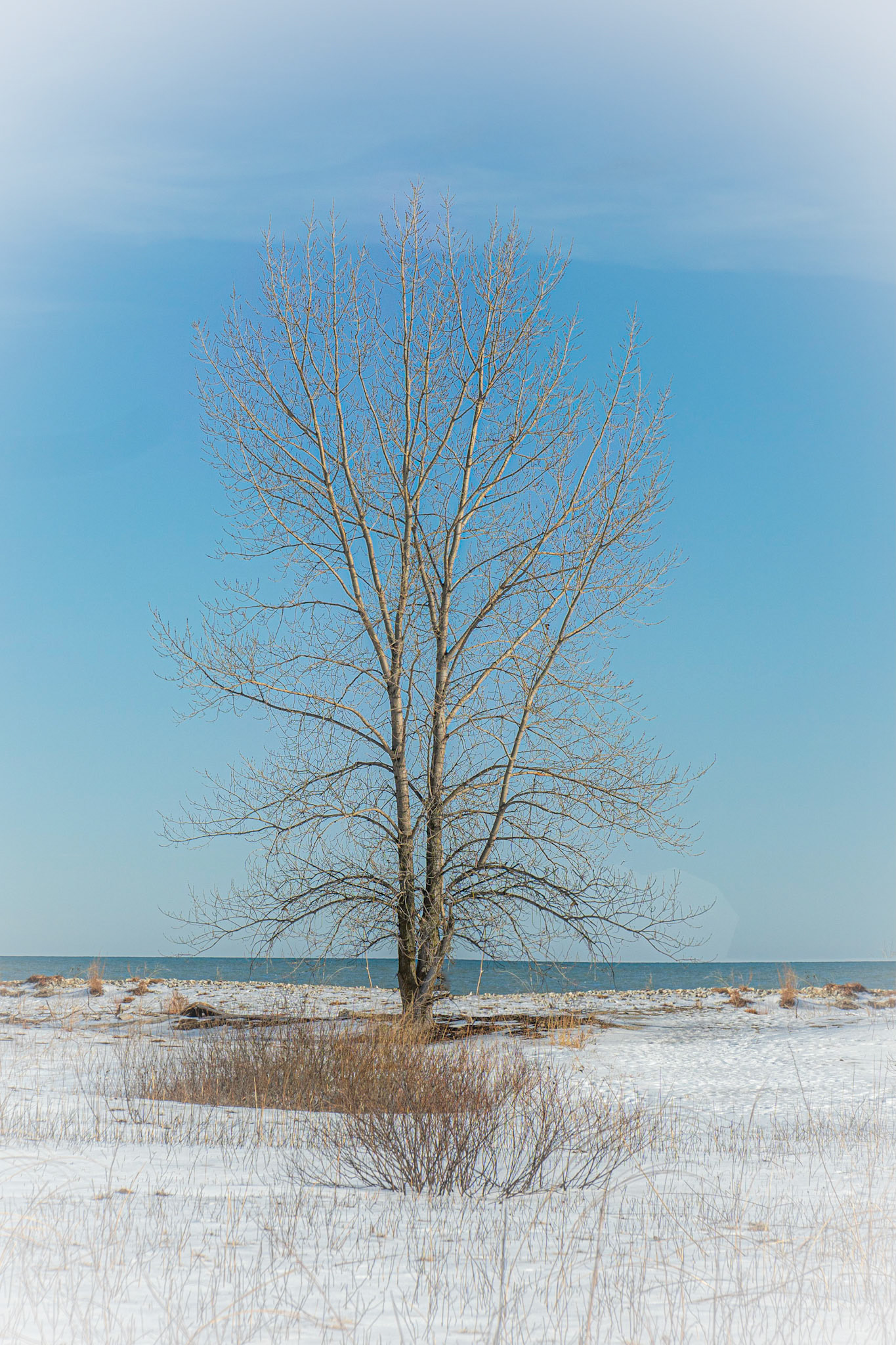 Illinois Beach SP, February 2021