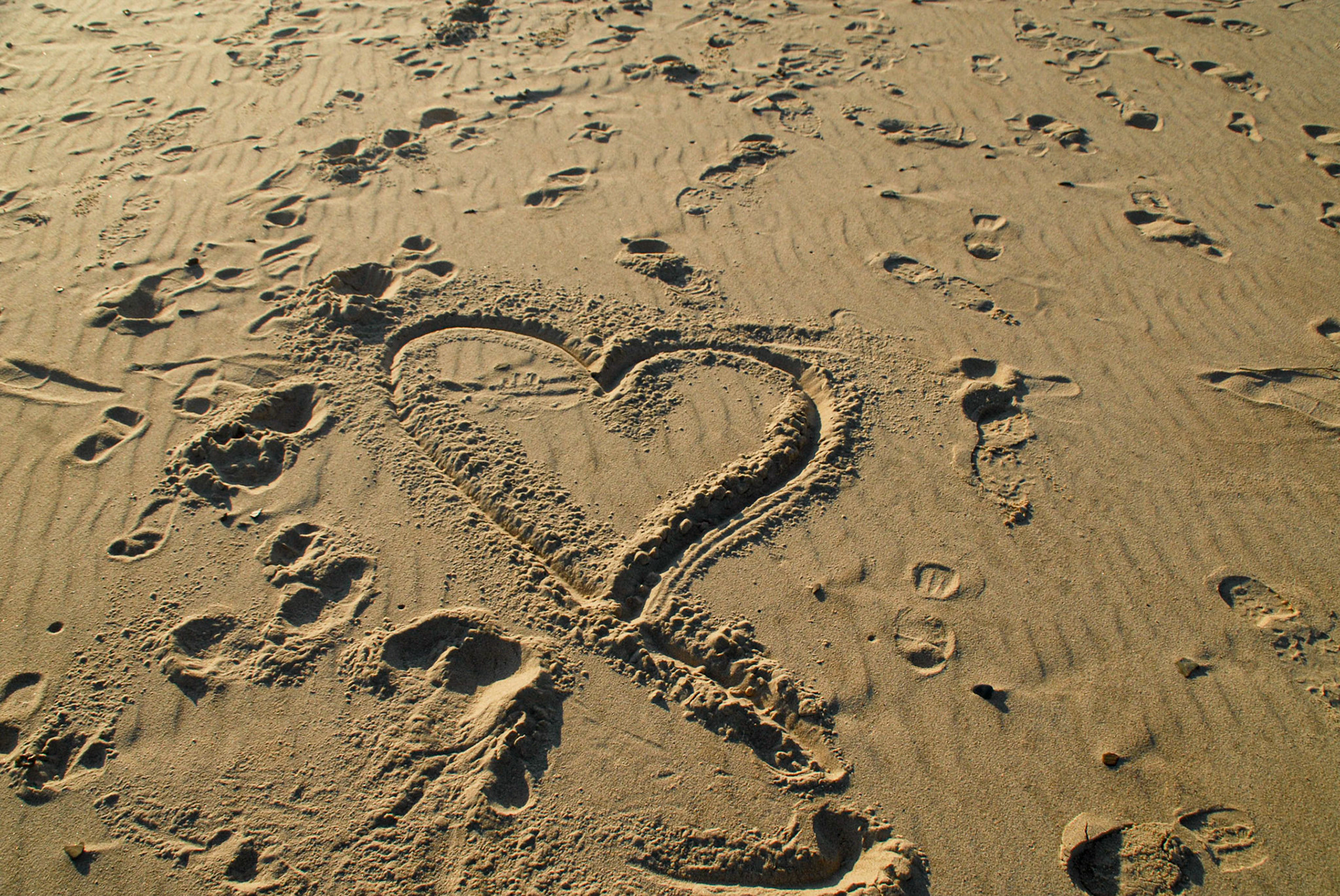 Beach, Indiana Dunes SP - October 2007