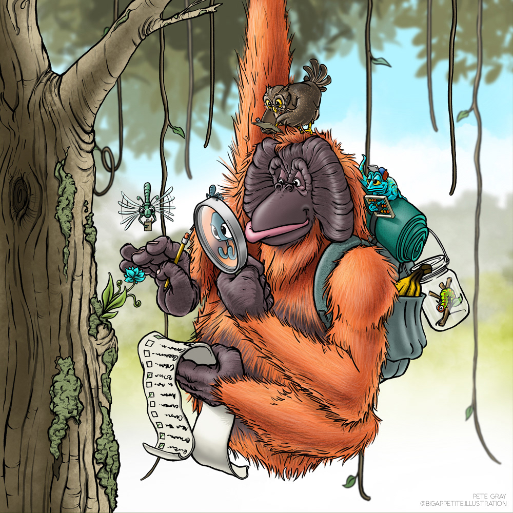 Living in a Complete Jungle