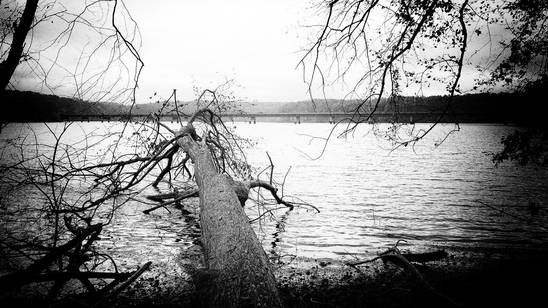 Silver Efex Pro 2, Pinhole