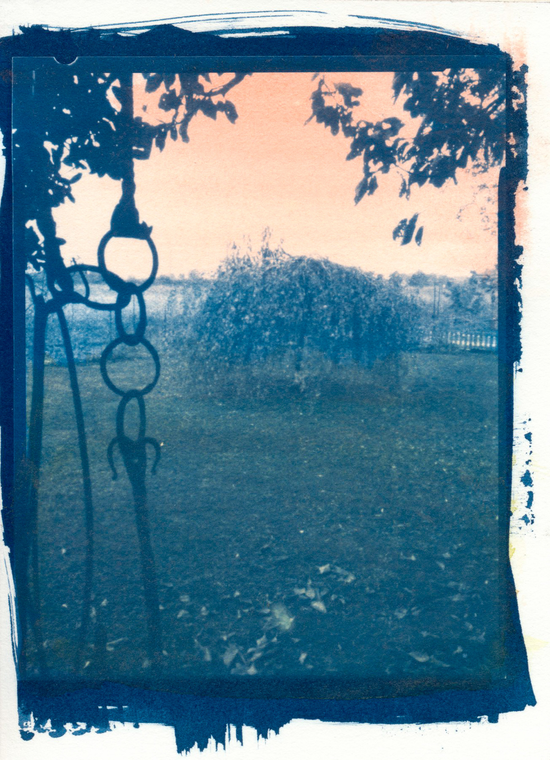 Alba - Watercolor on Cyanotype