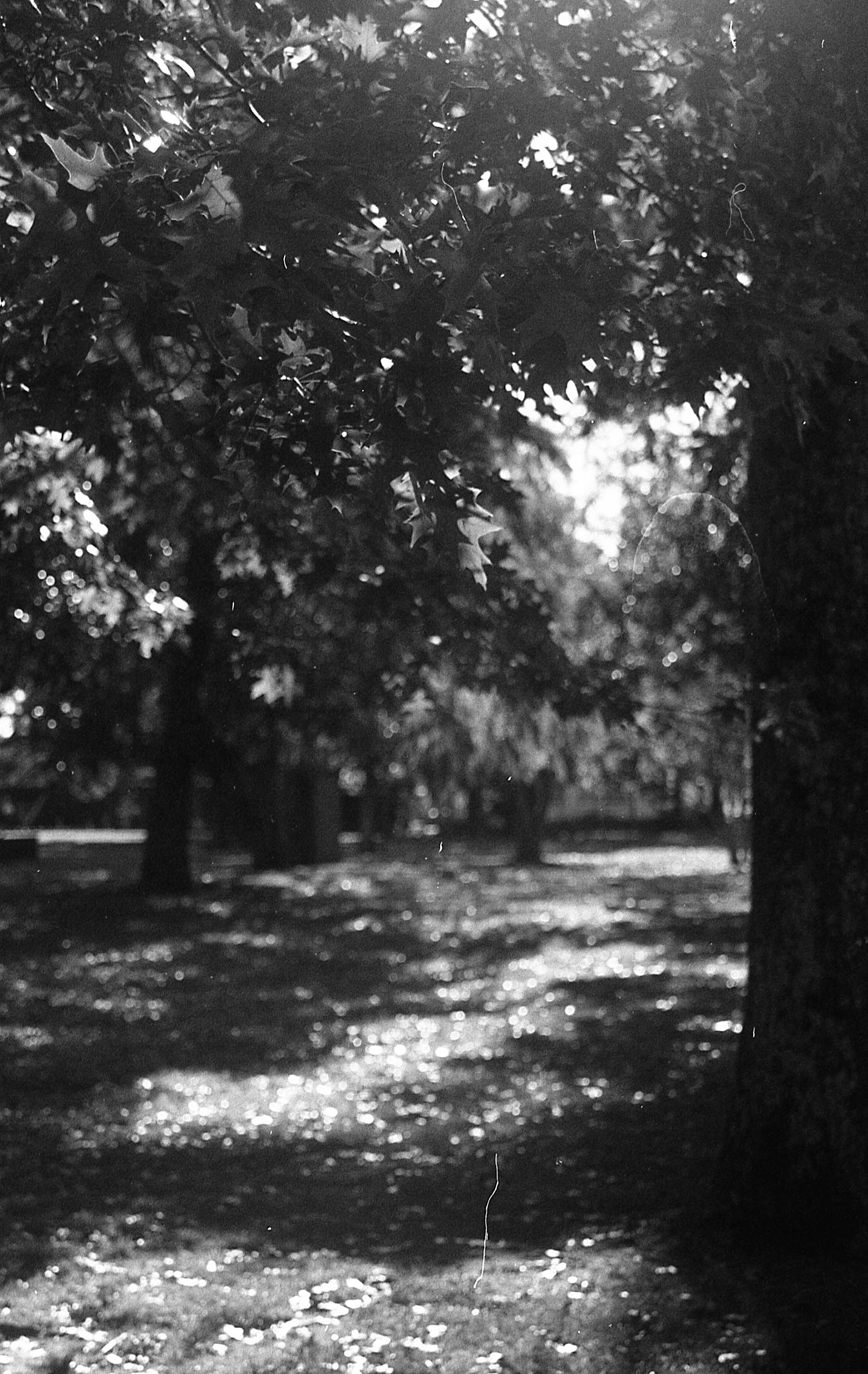 Ilford Delta 400 - Buenos Aires, Argentina