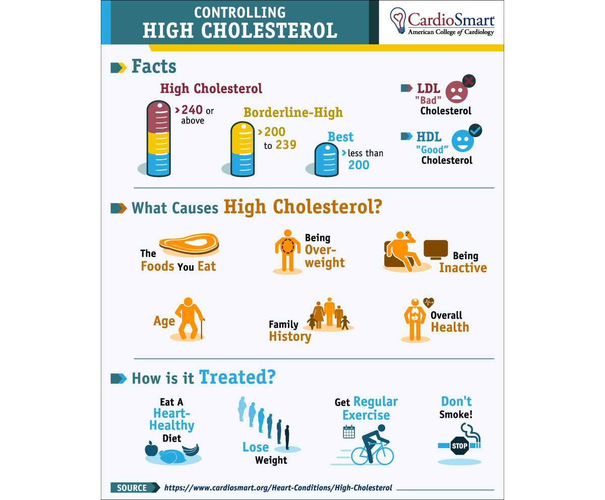 Jason Pearlman Illustration Cardiosmart Infographics