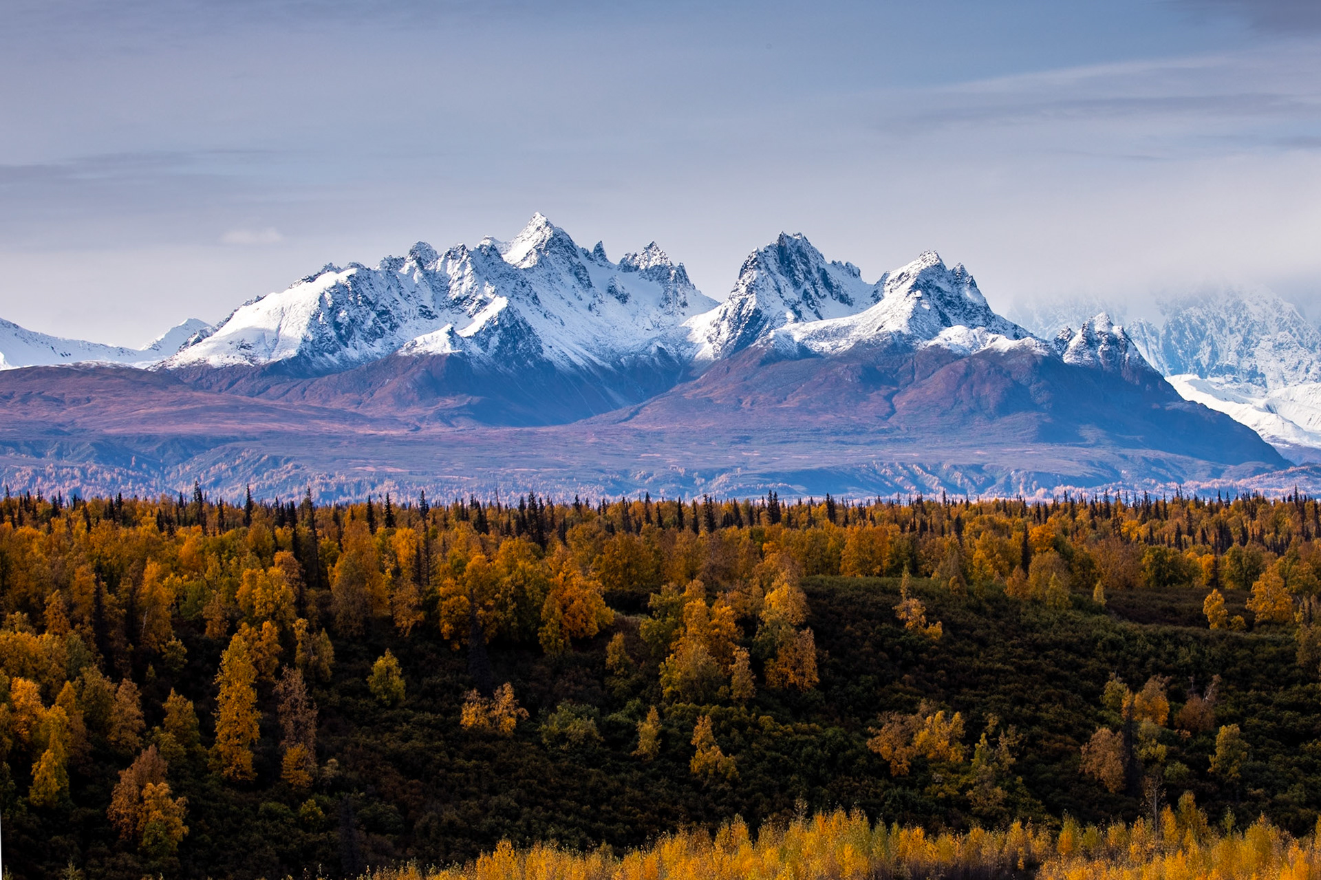 Denali South Face