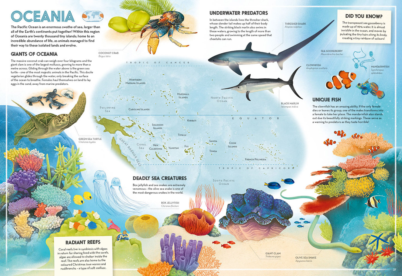 Illustrated map of Oceania with various animals in their natural habitat.