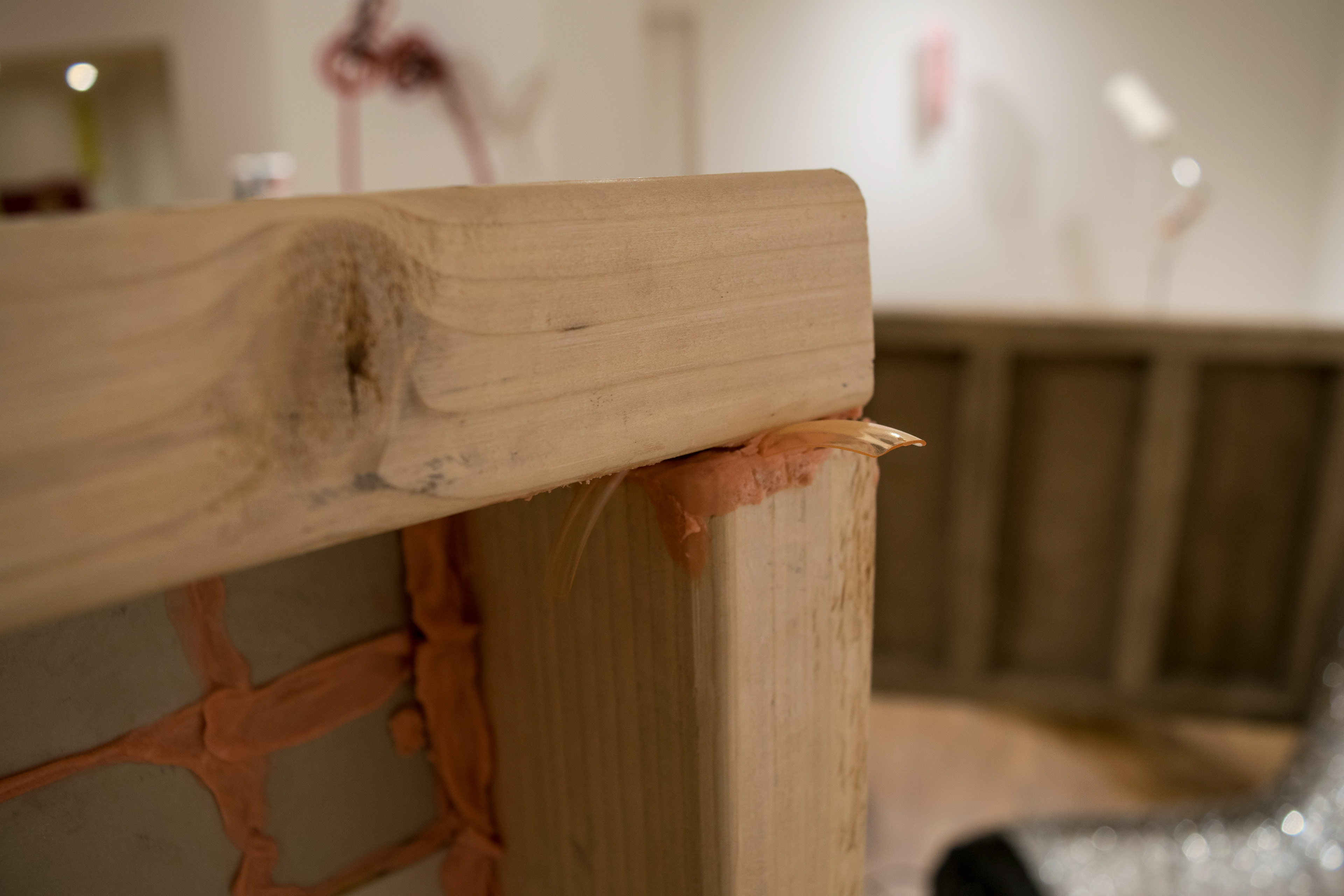 (De)Construct, 2018