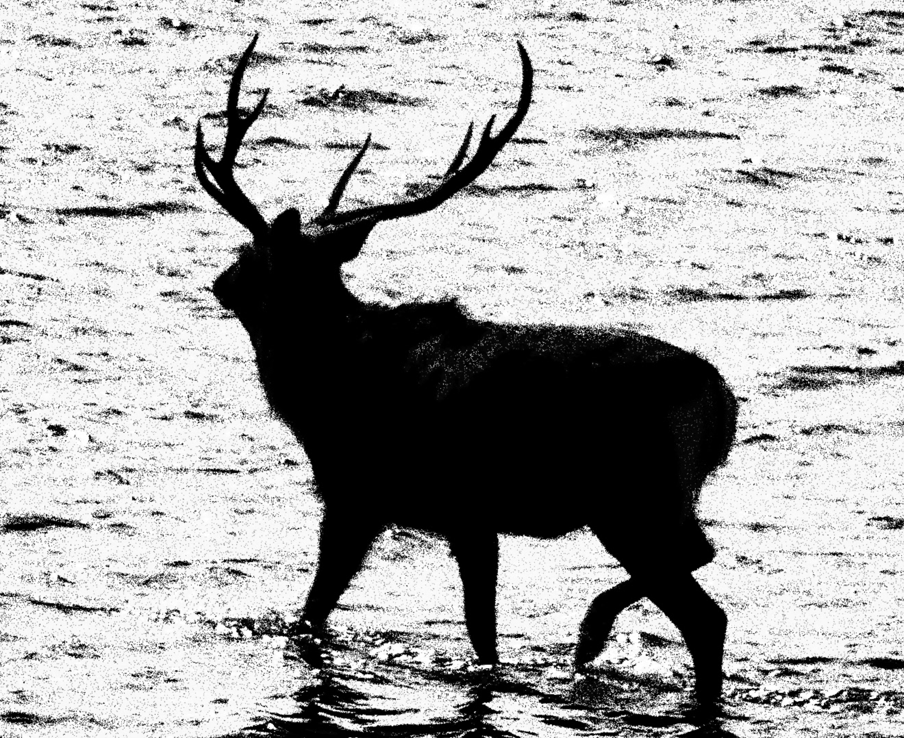 Nature Center, Notsuke Peninsula