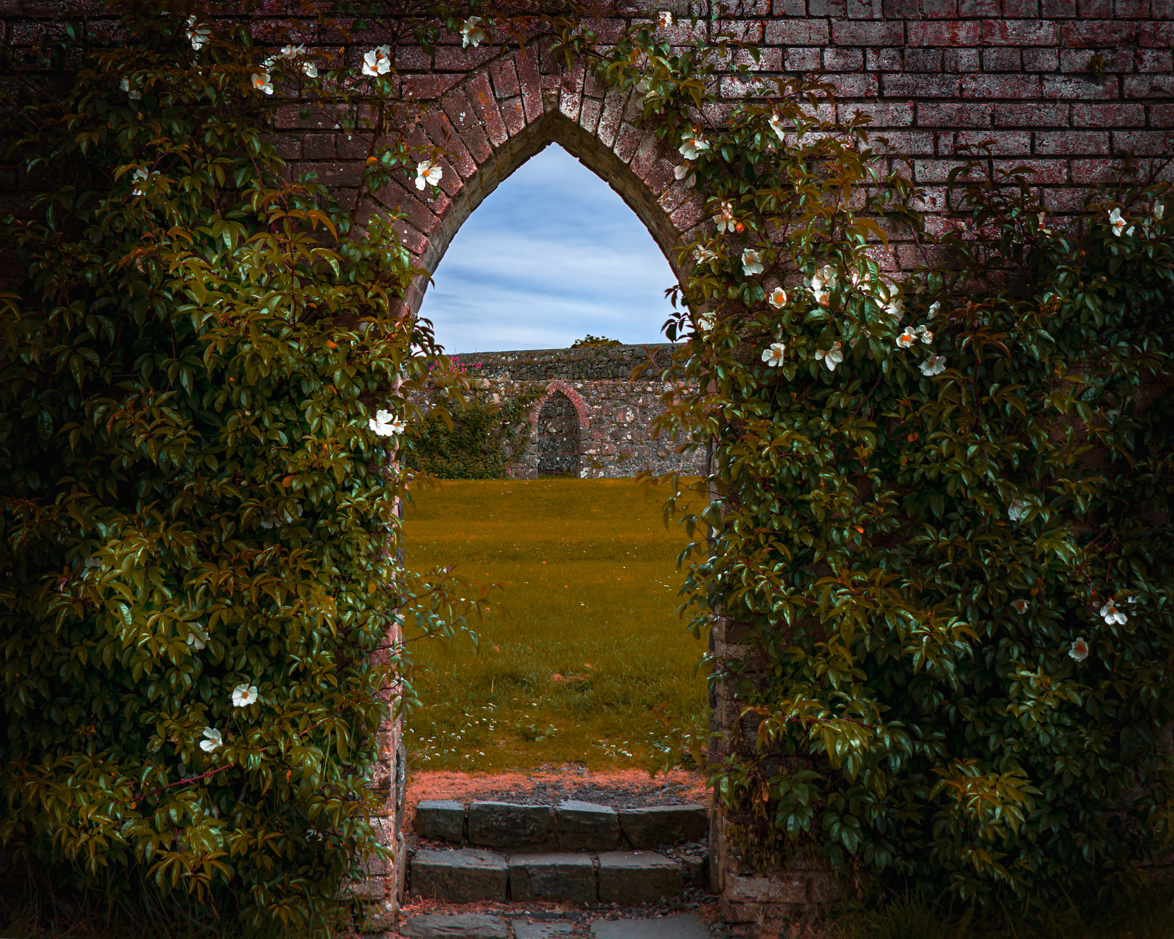 Downhill House Walled gardens