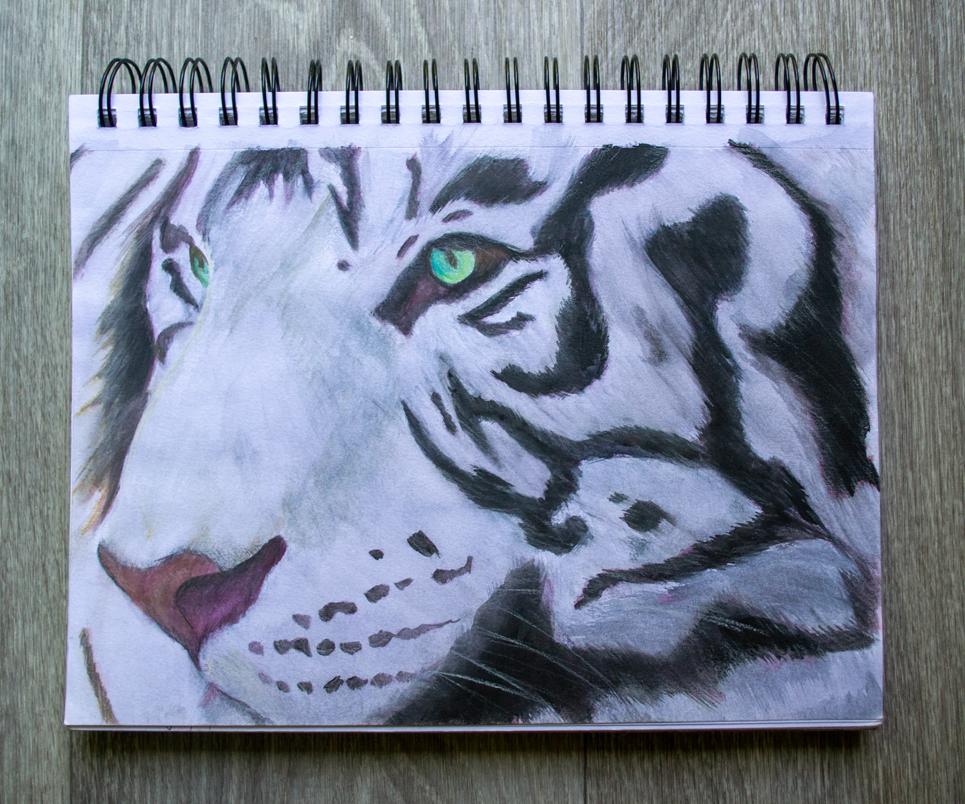 Watercolor pencil & charcoal