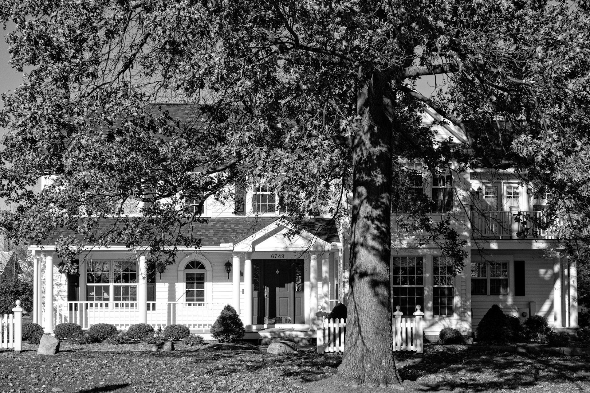 Black & White 00149