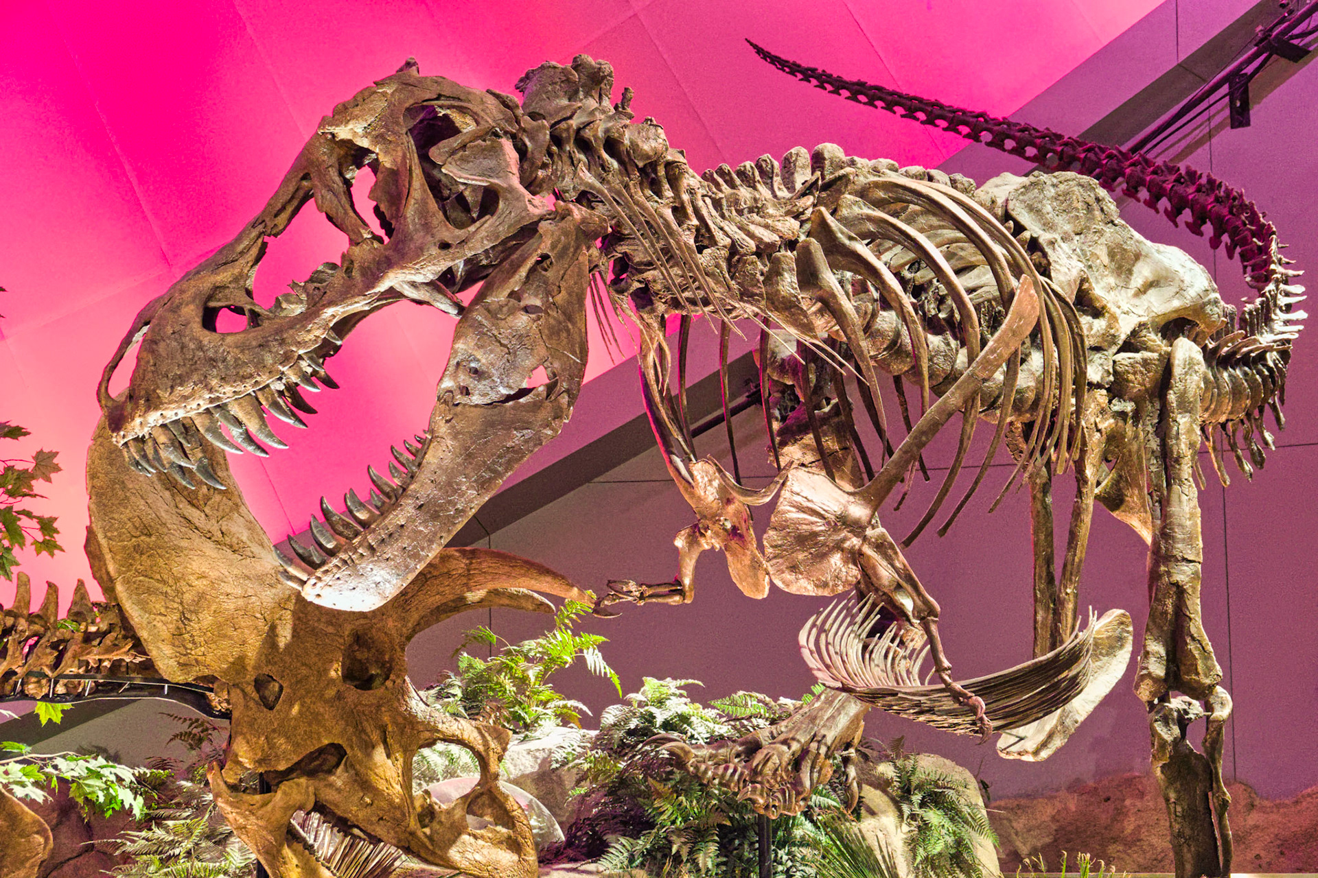 IN Science Museum 00019