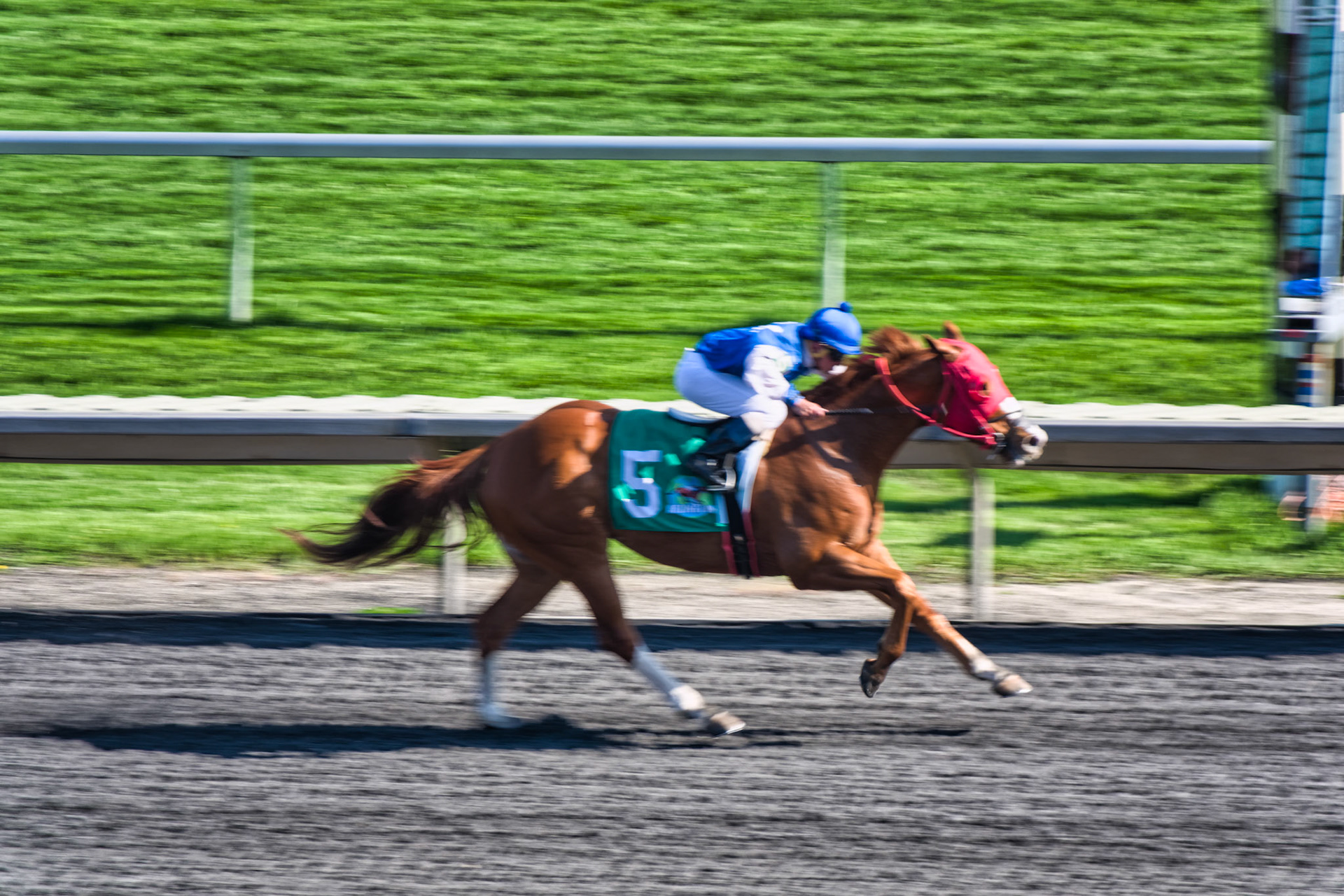 IL Arlington Park 00045