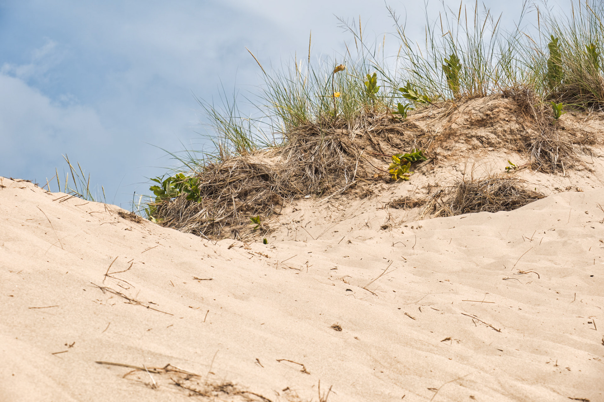 MI Dunes 00003