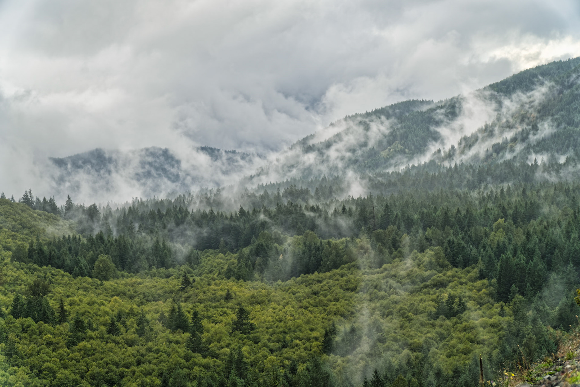 OR Mt Hood 00011