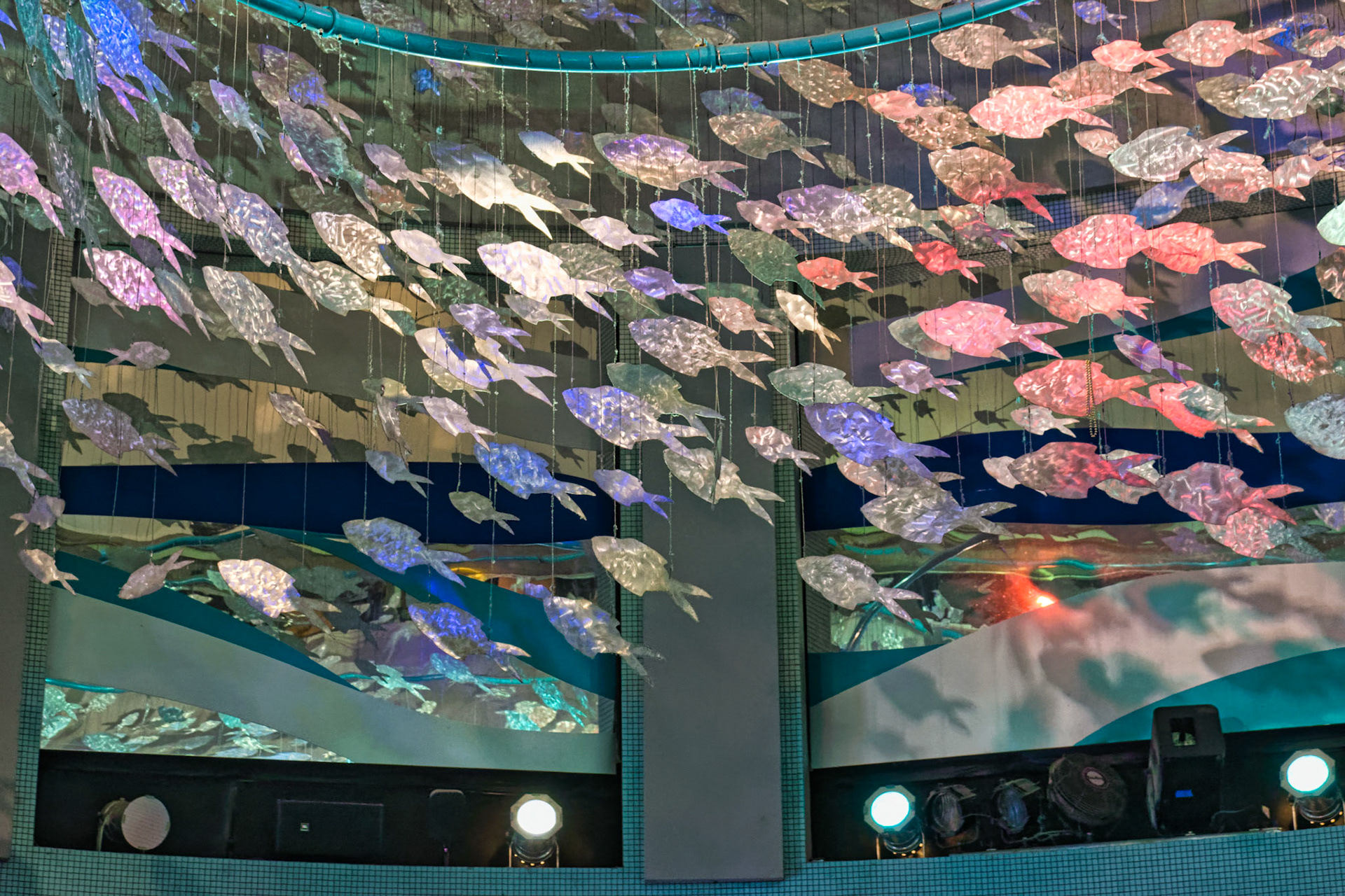 NJ Aquarium 00007