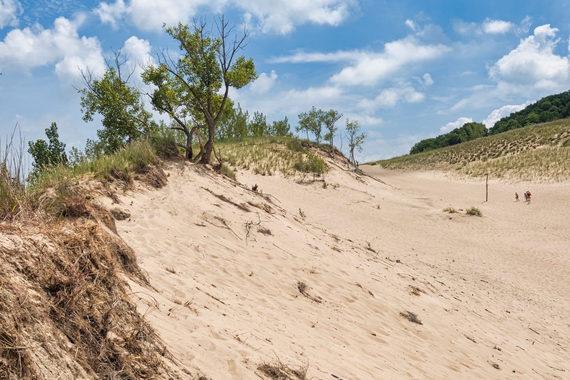 MI Dunes 00007
