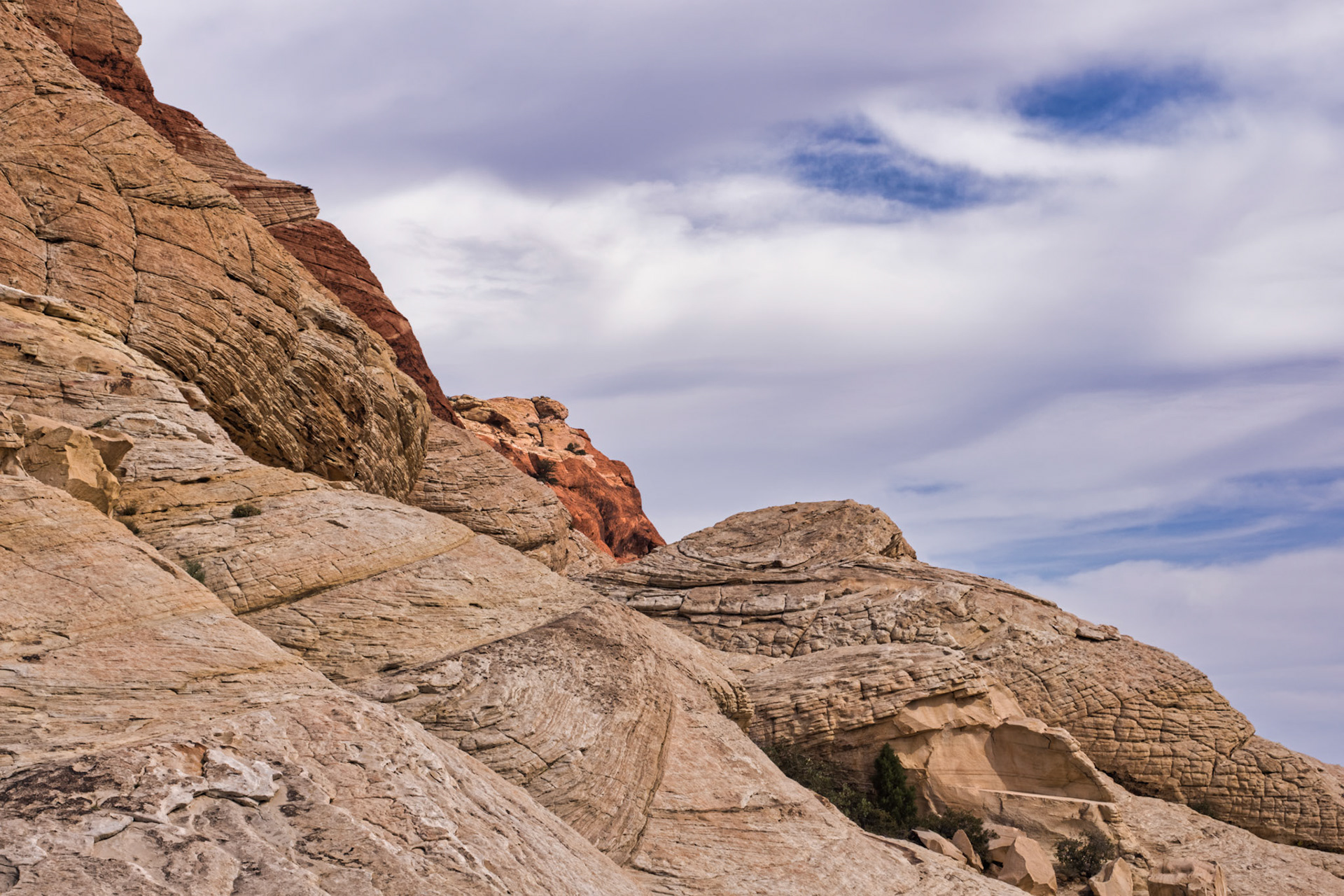 NV Desert 00179