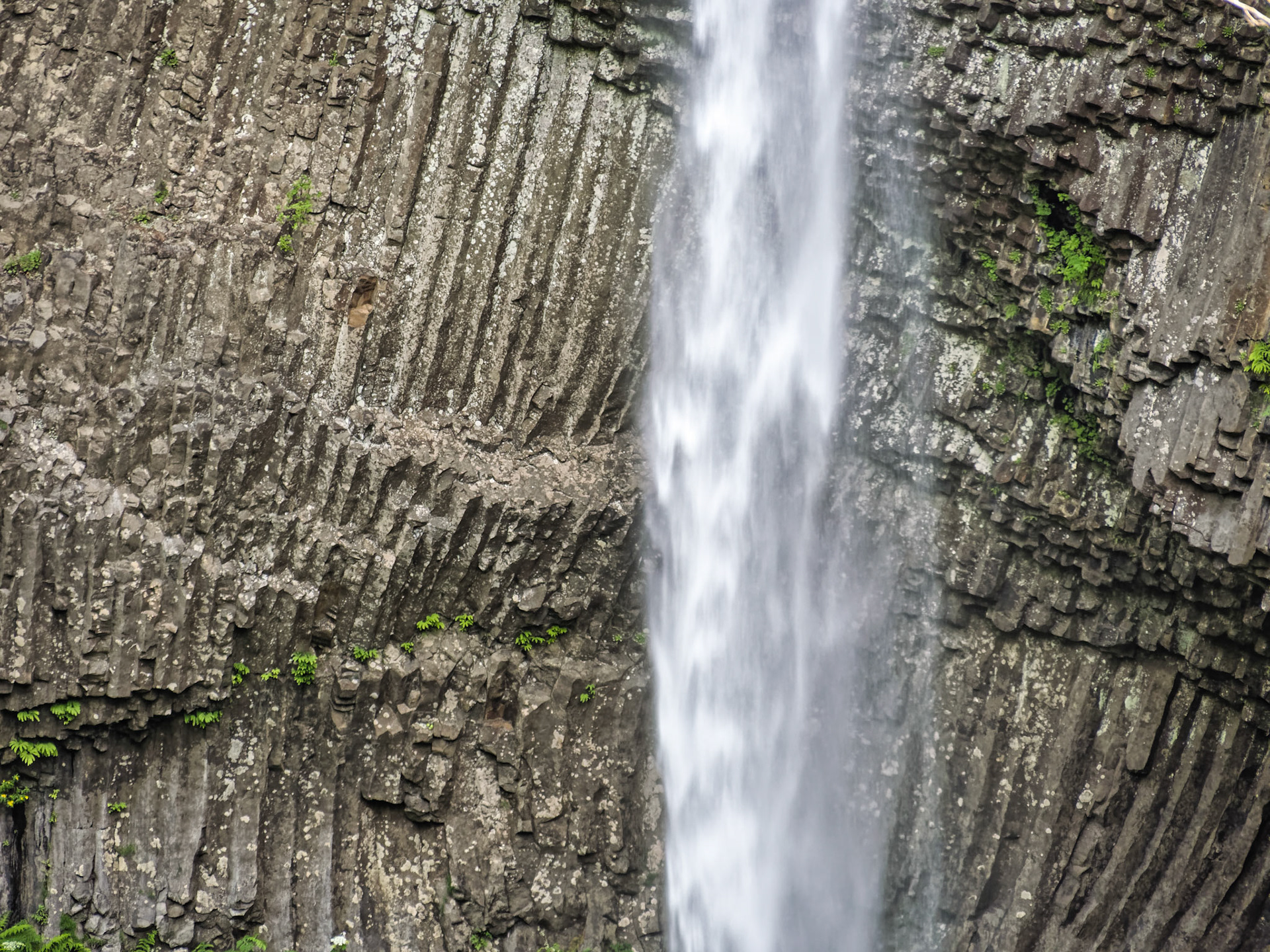 OR Portland 00013