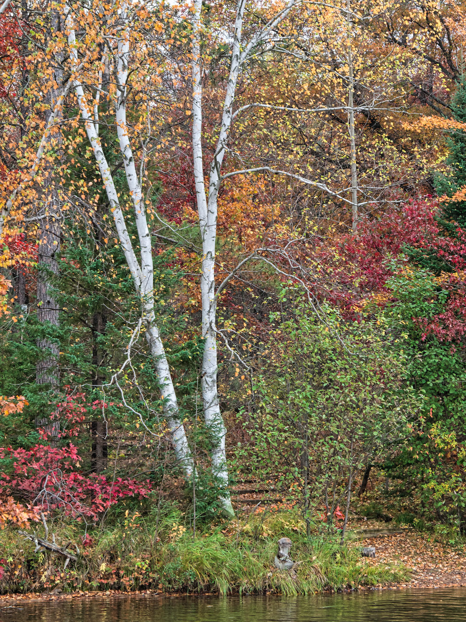 WI Fence 00139