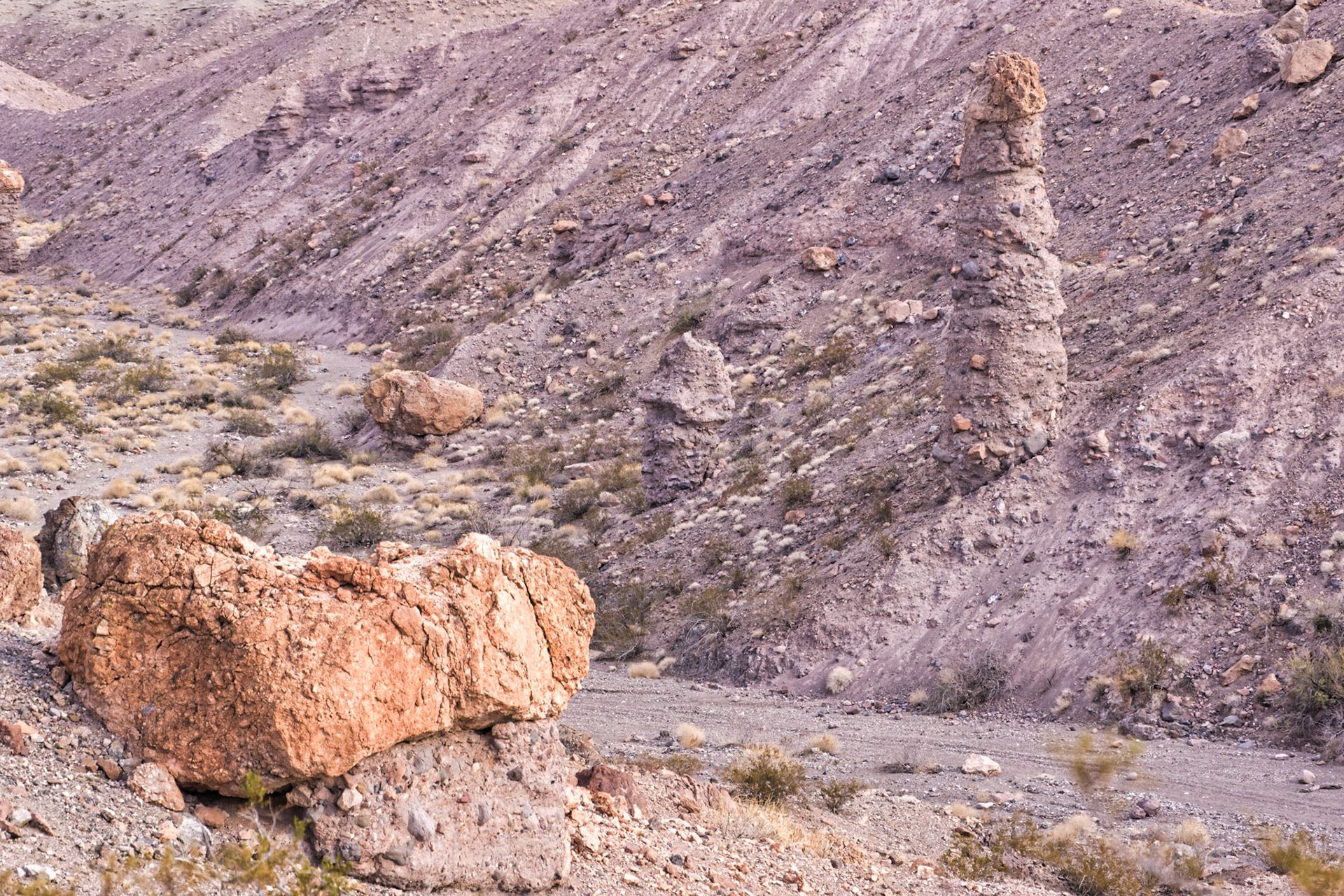 NV Desert 00030
