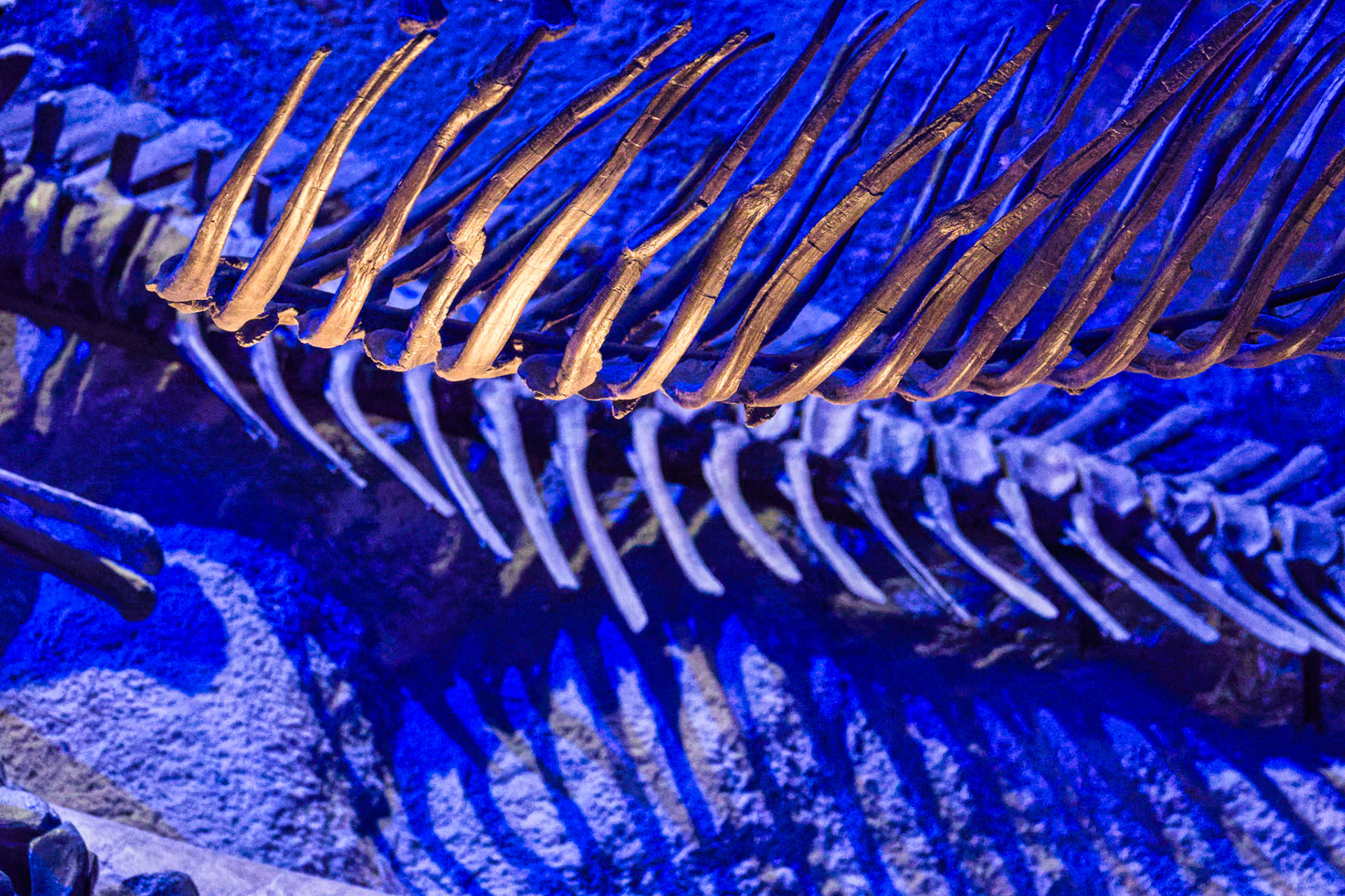 IN Science Museum 00022