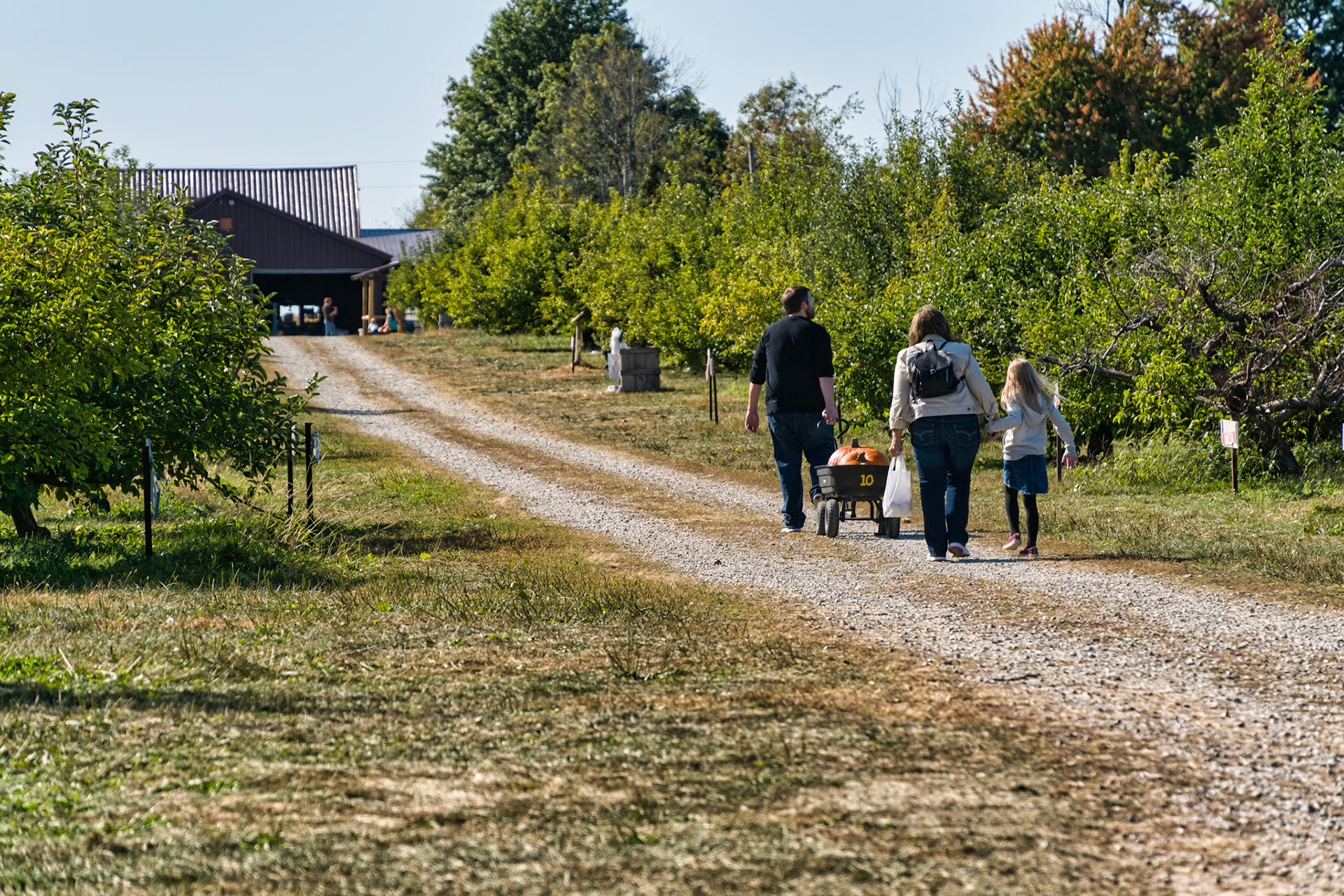 IN Stukey's Farm 00033