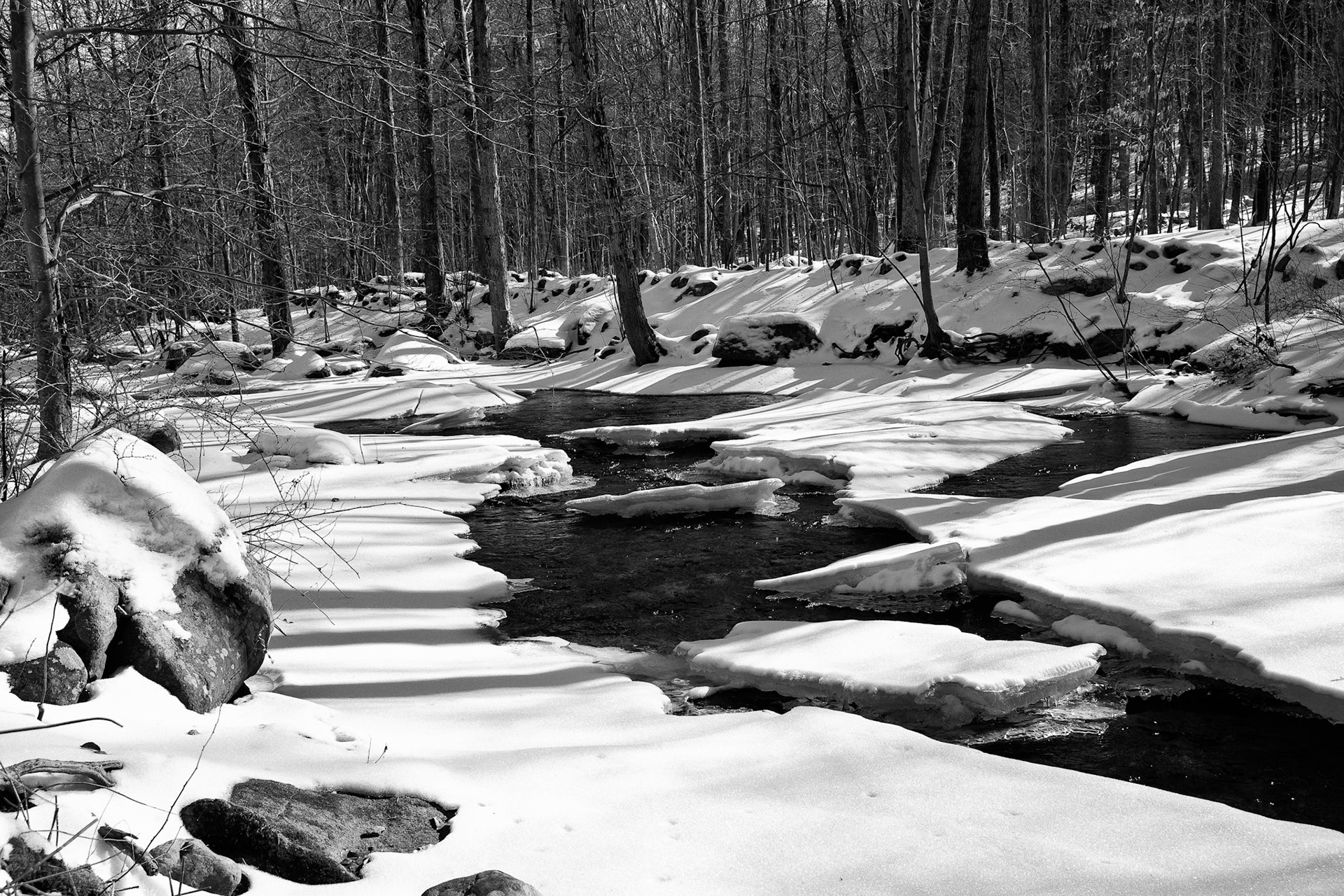 Black & White 00111