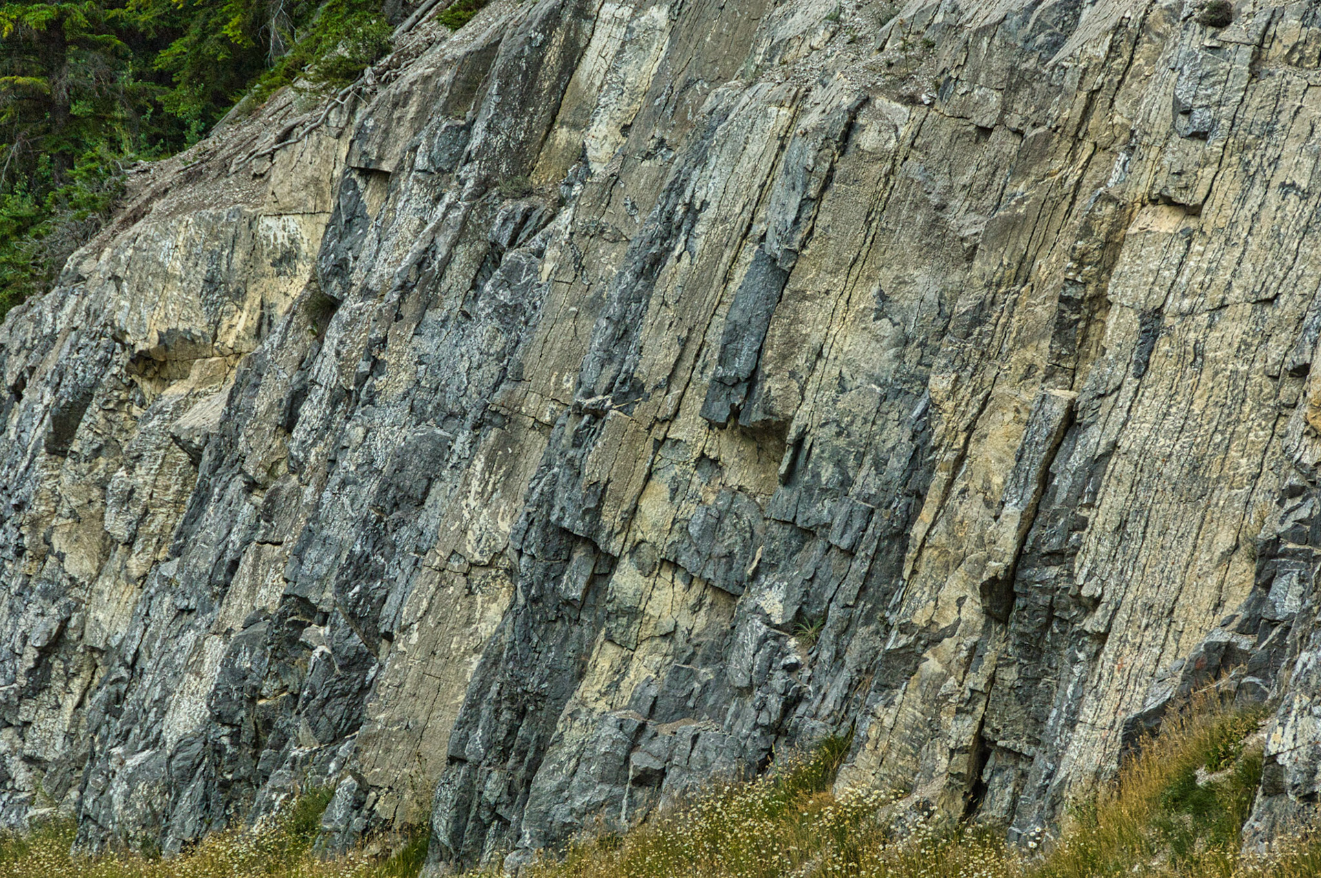 Canada Alberta 00008