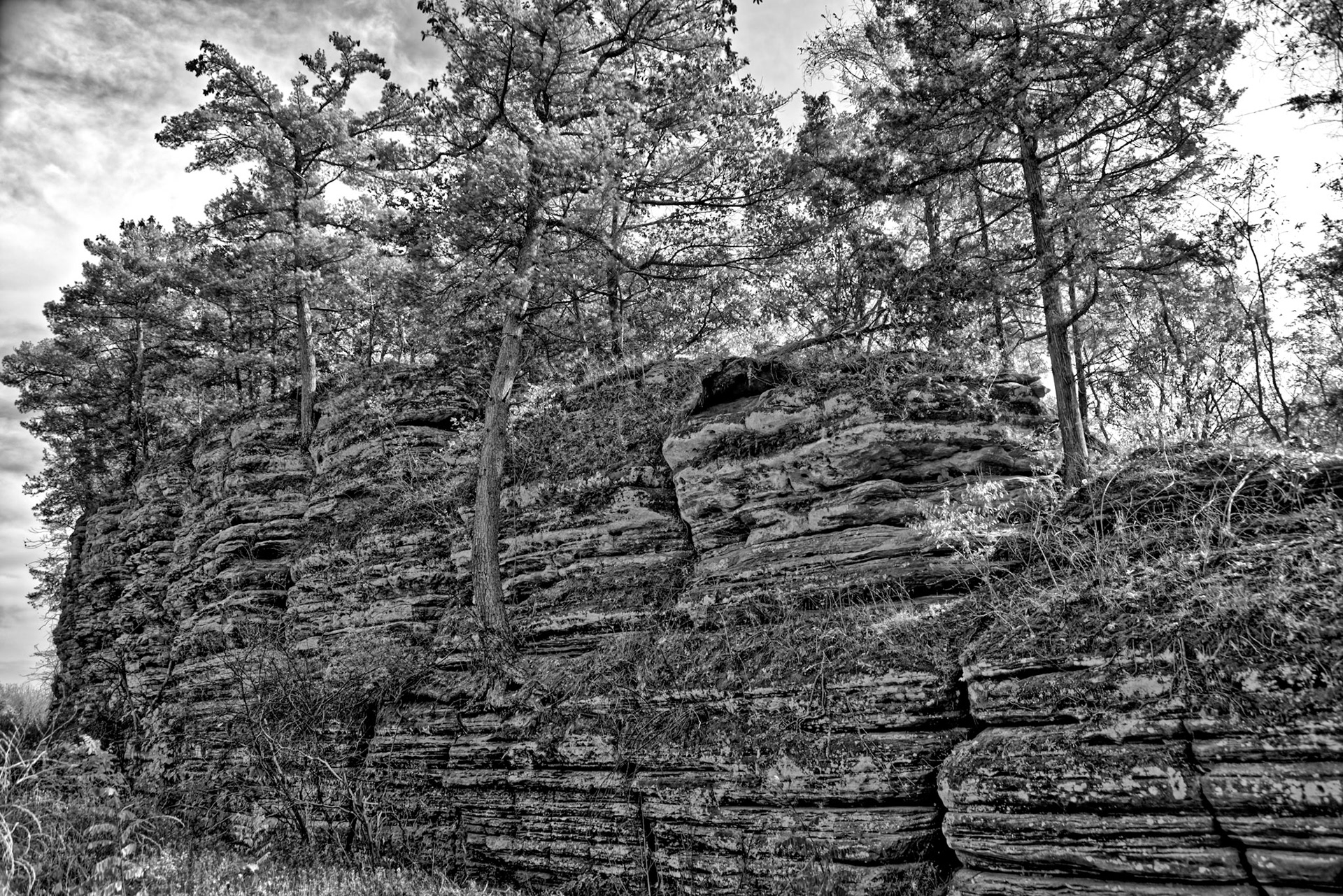 Black & White 00235