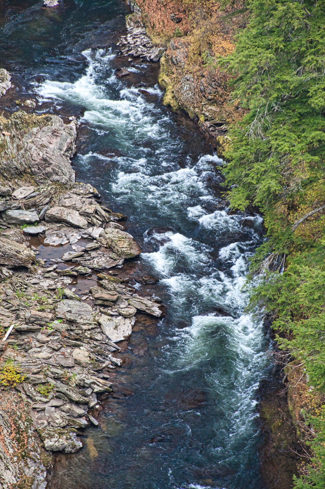 VT Miscellaneous 00018