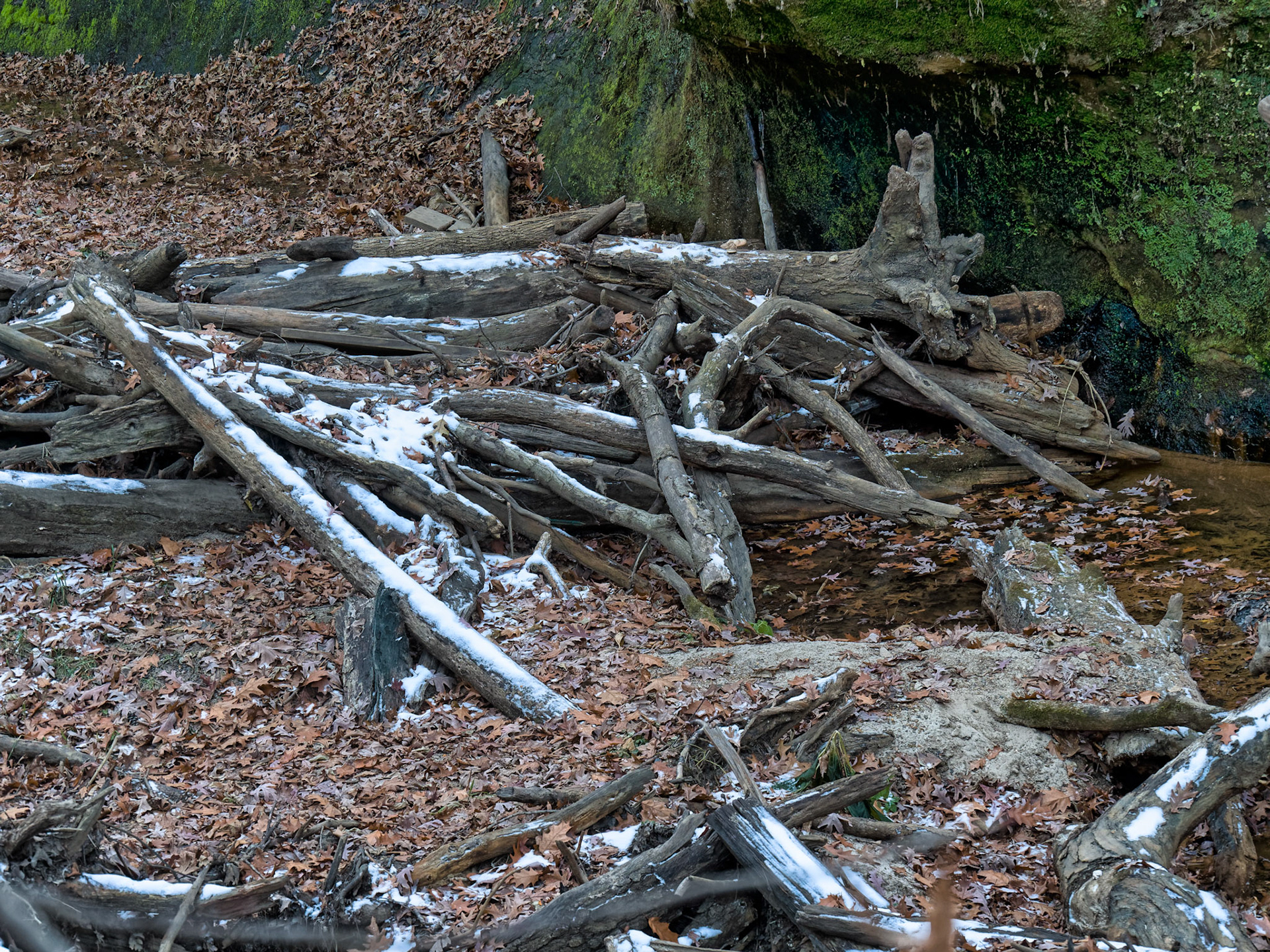 IL Starved Rock 00081