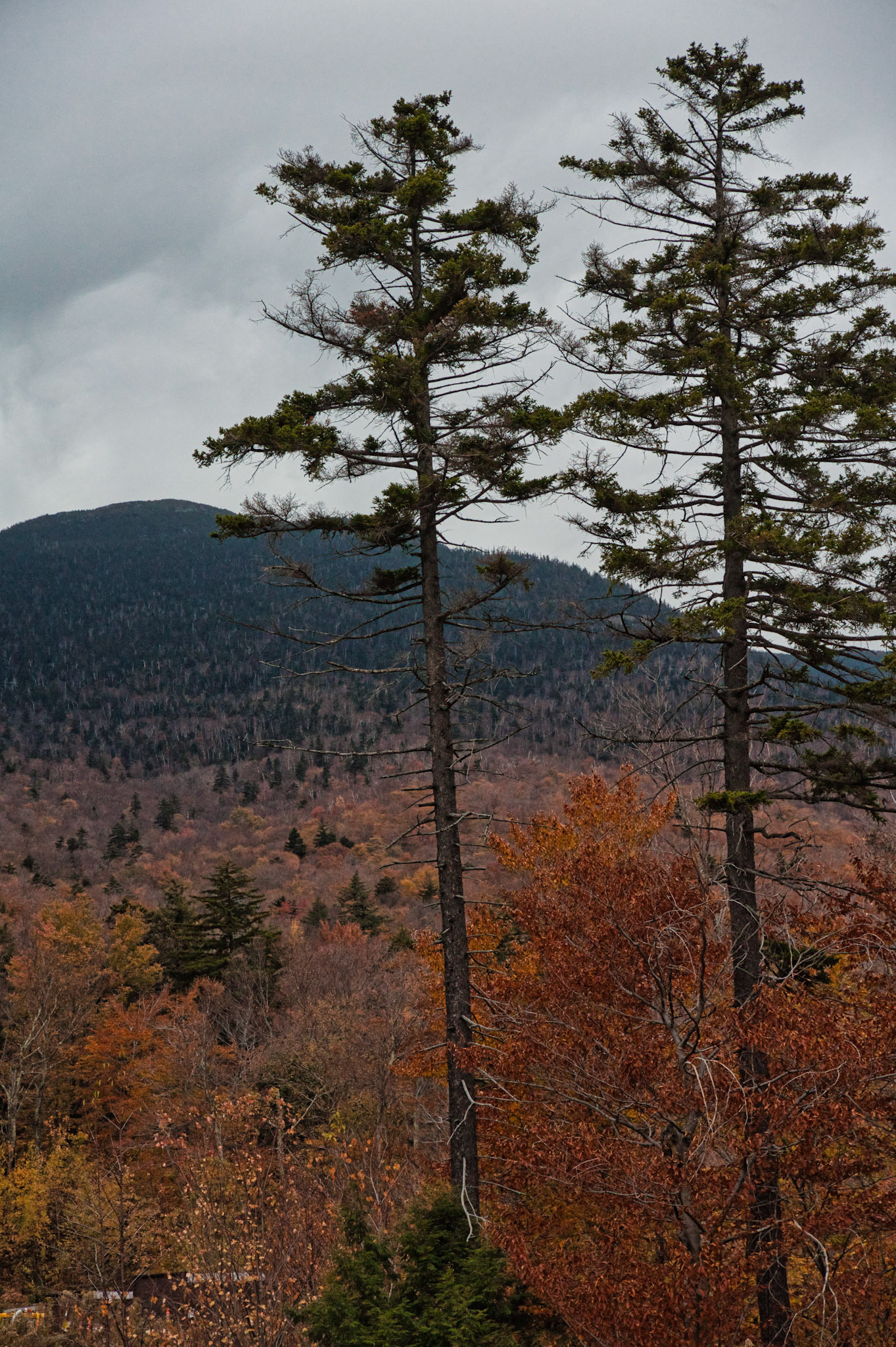 VT Miscellaneous 00026