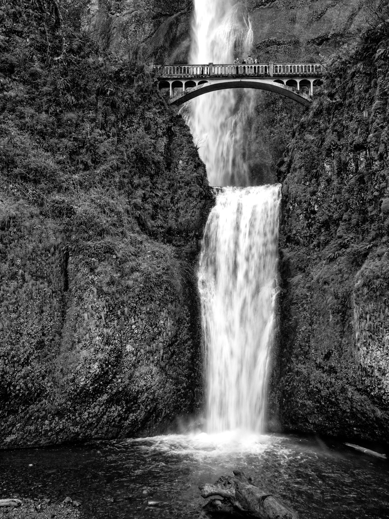 Black & White 00164