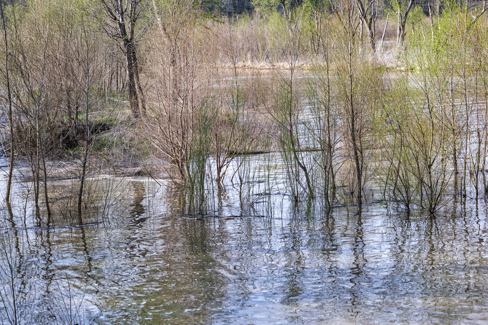 IN Spenser State Park 00014