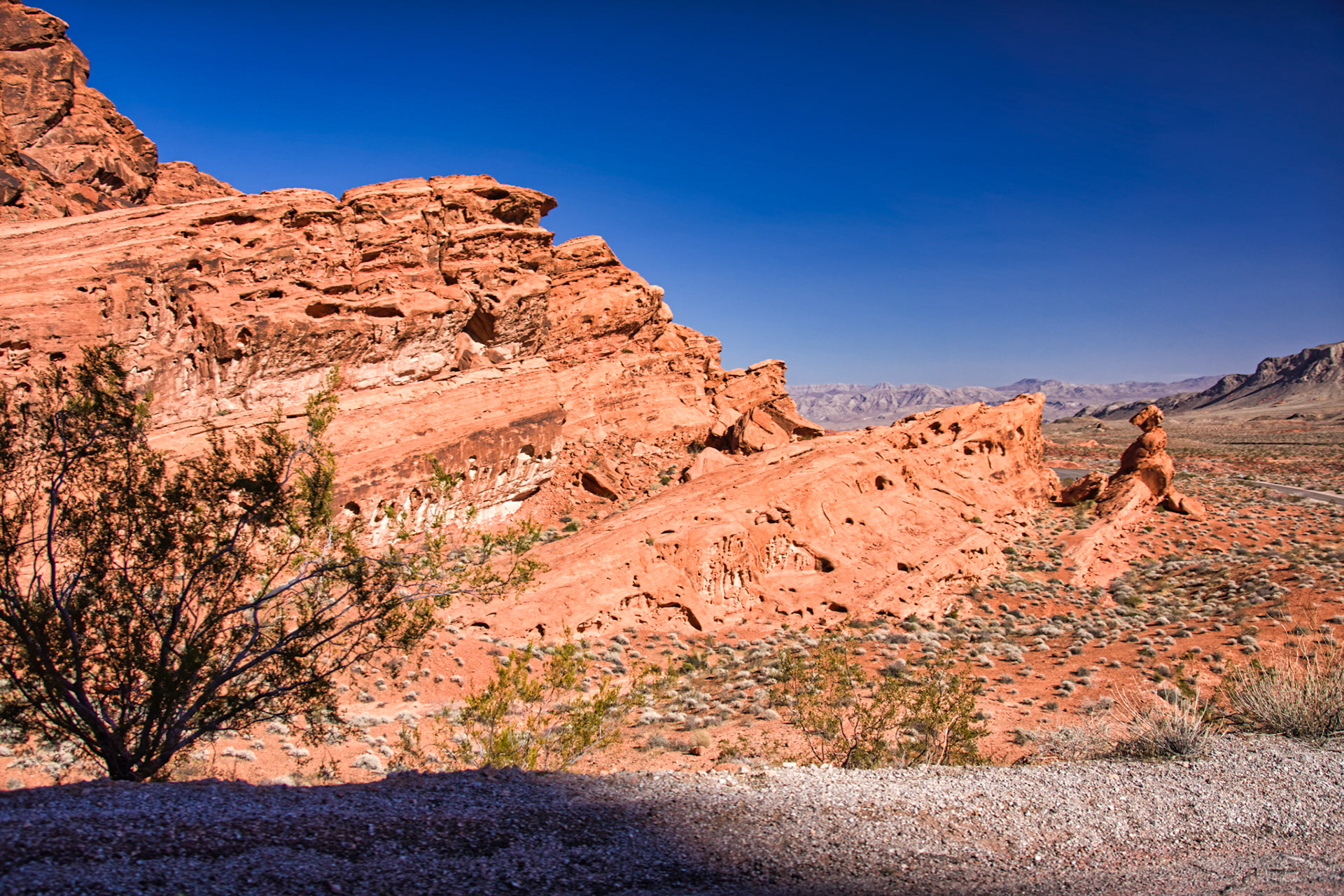 NV Desert 00093