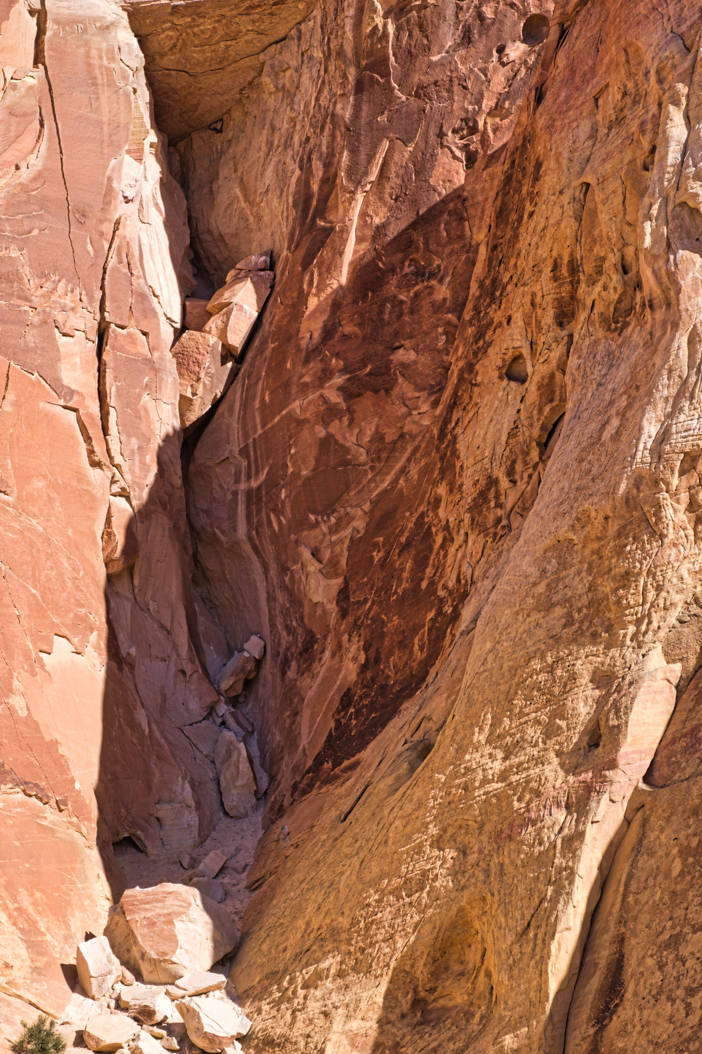 NV Desert 00115