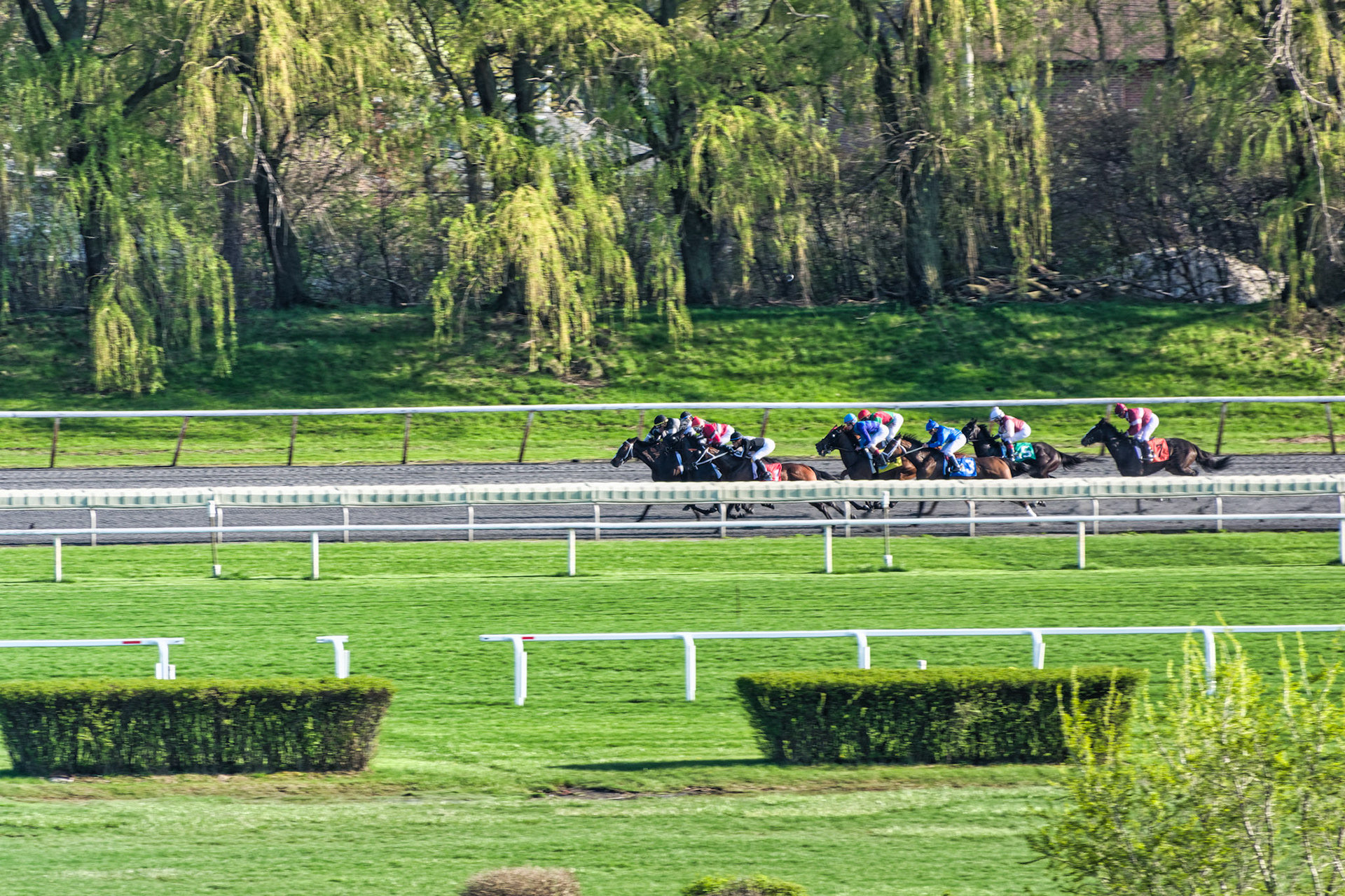 IL Arlington Park 00055