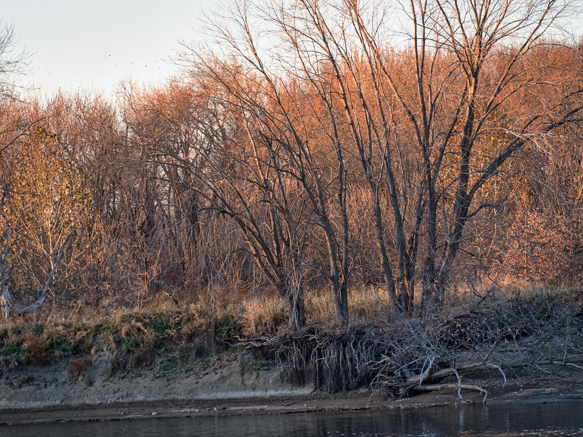 IL Starved Rock 00074