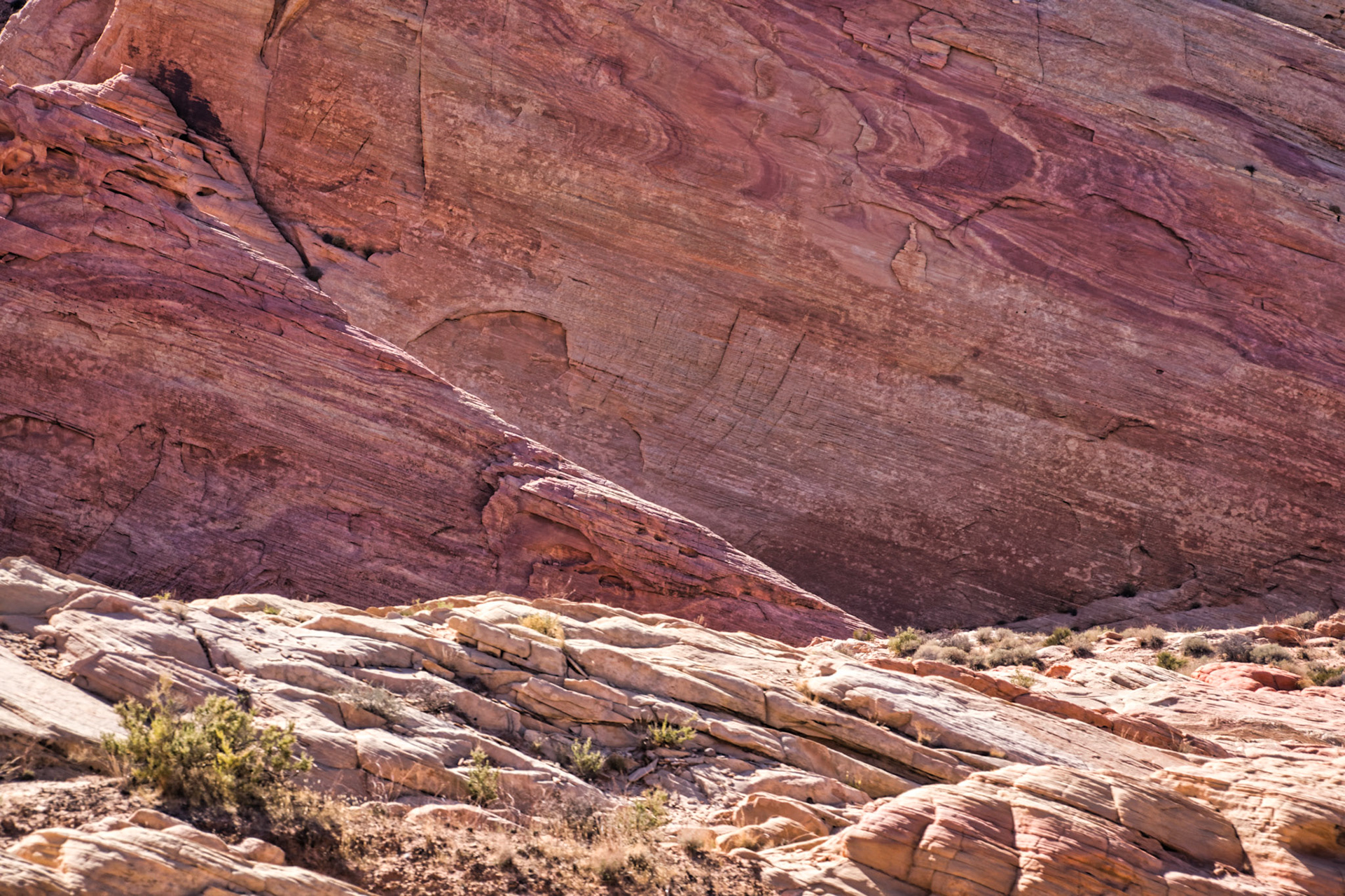 NV Desert 00103