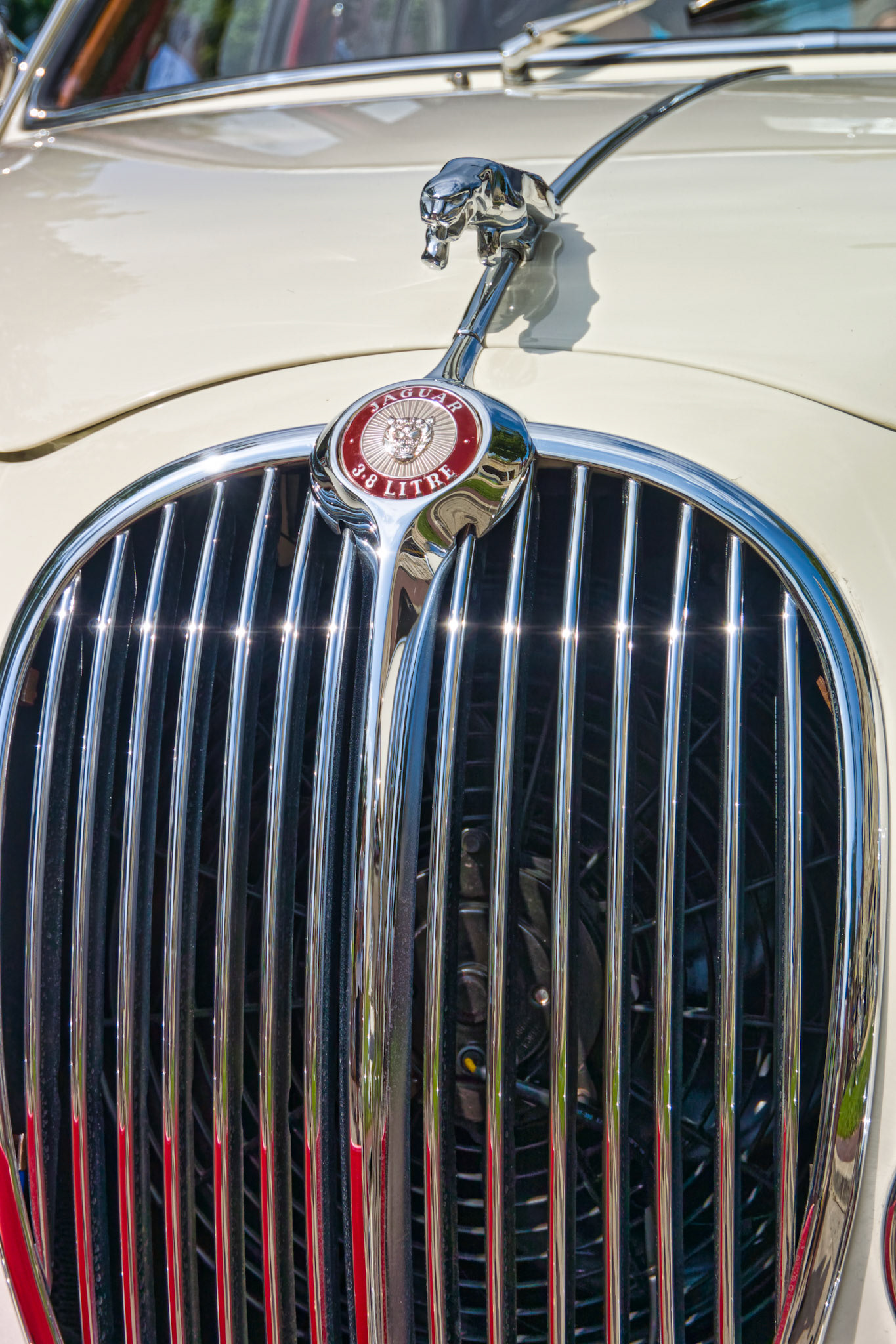 IL Geneva Car Show 00010