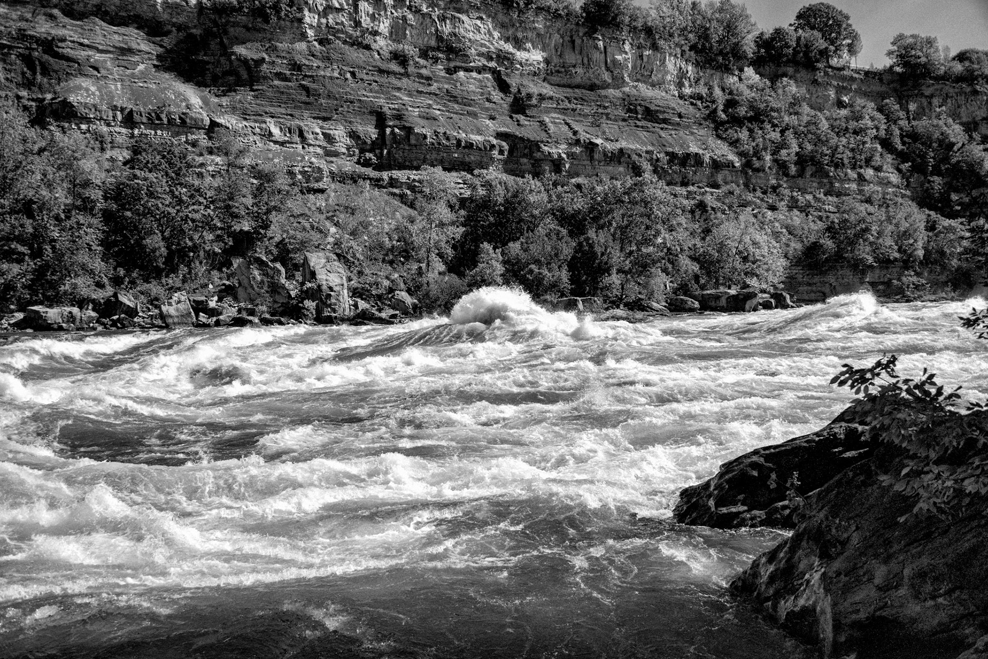 Black & White 00191