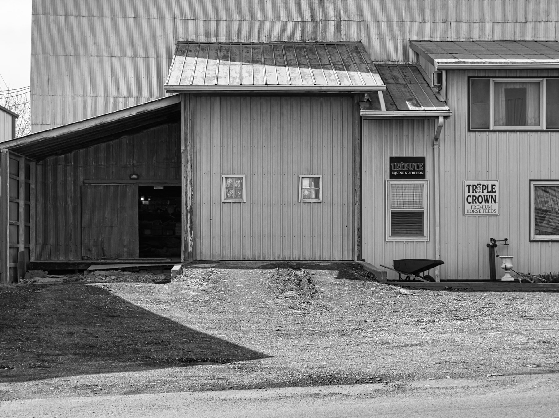 Black & White 00250