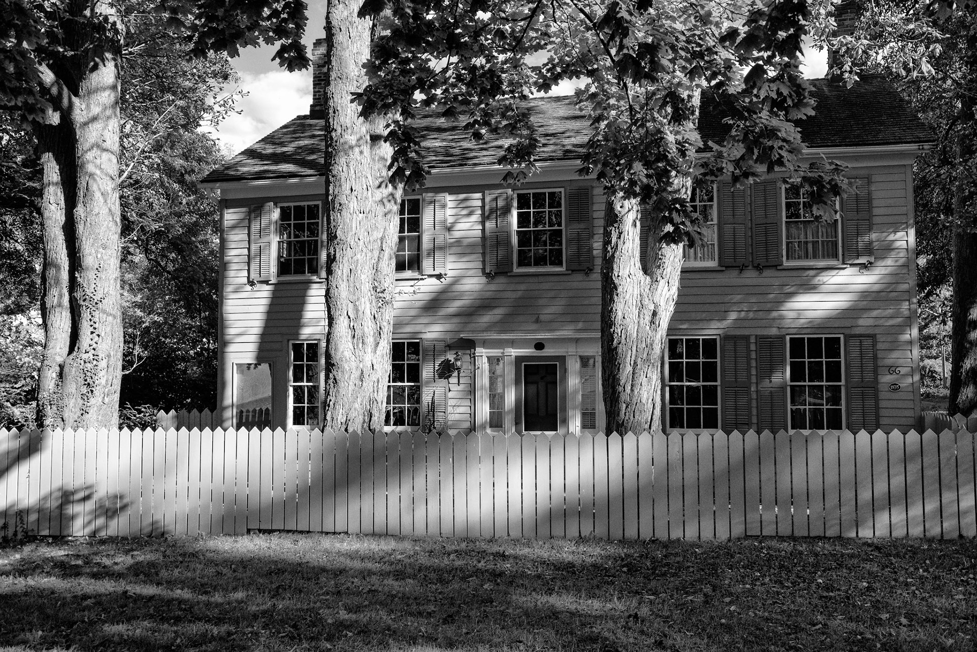 Black & White 00215