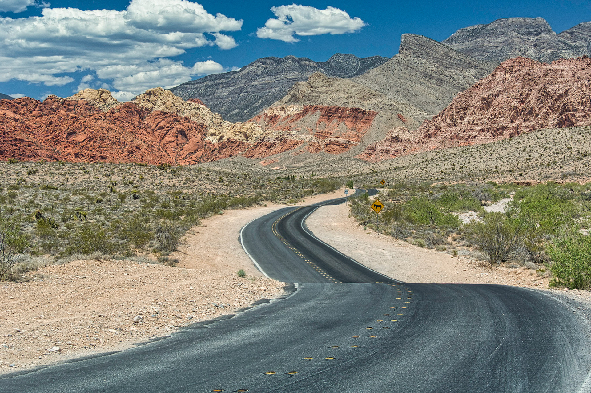 Desert Southwest
