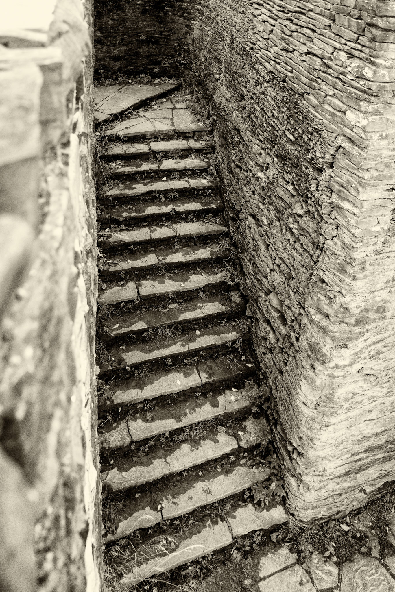 Black & White 00223